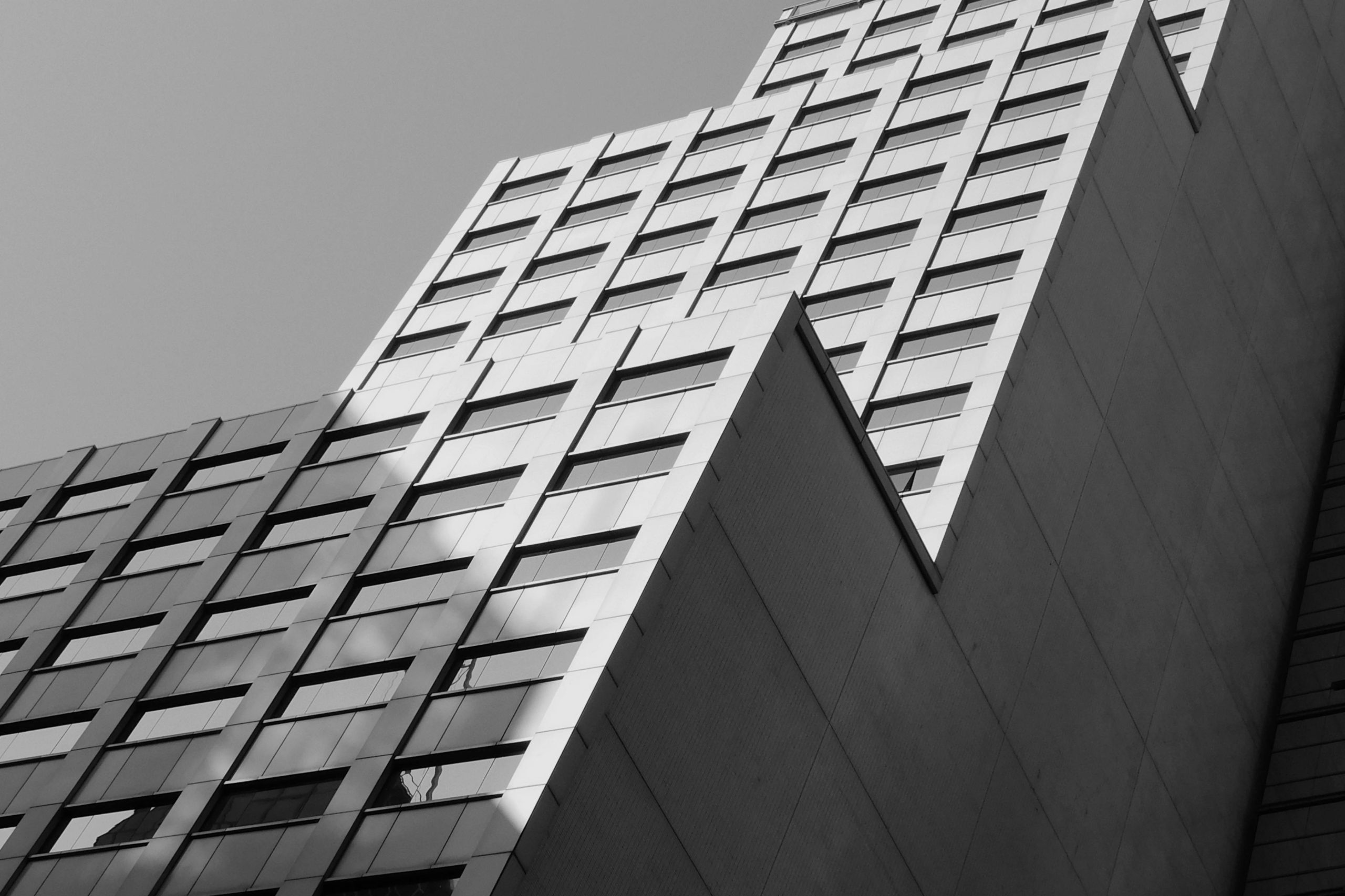 pexels photo 11492999