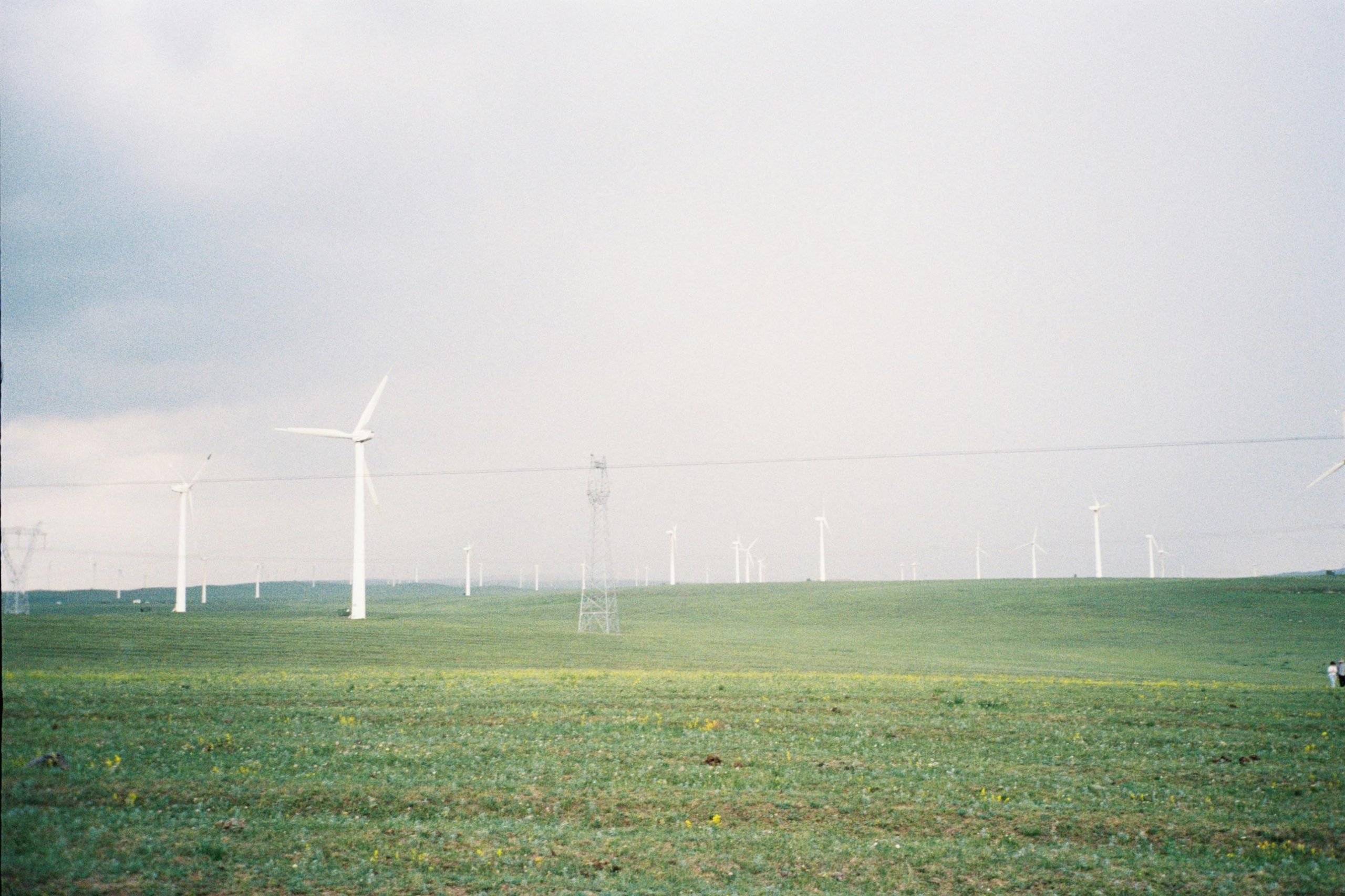 pexels photo 20445467