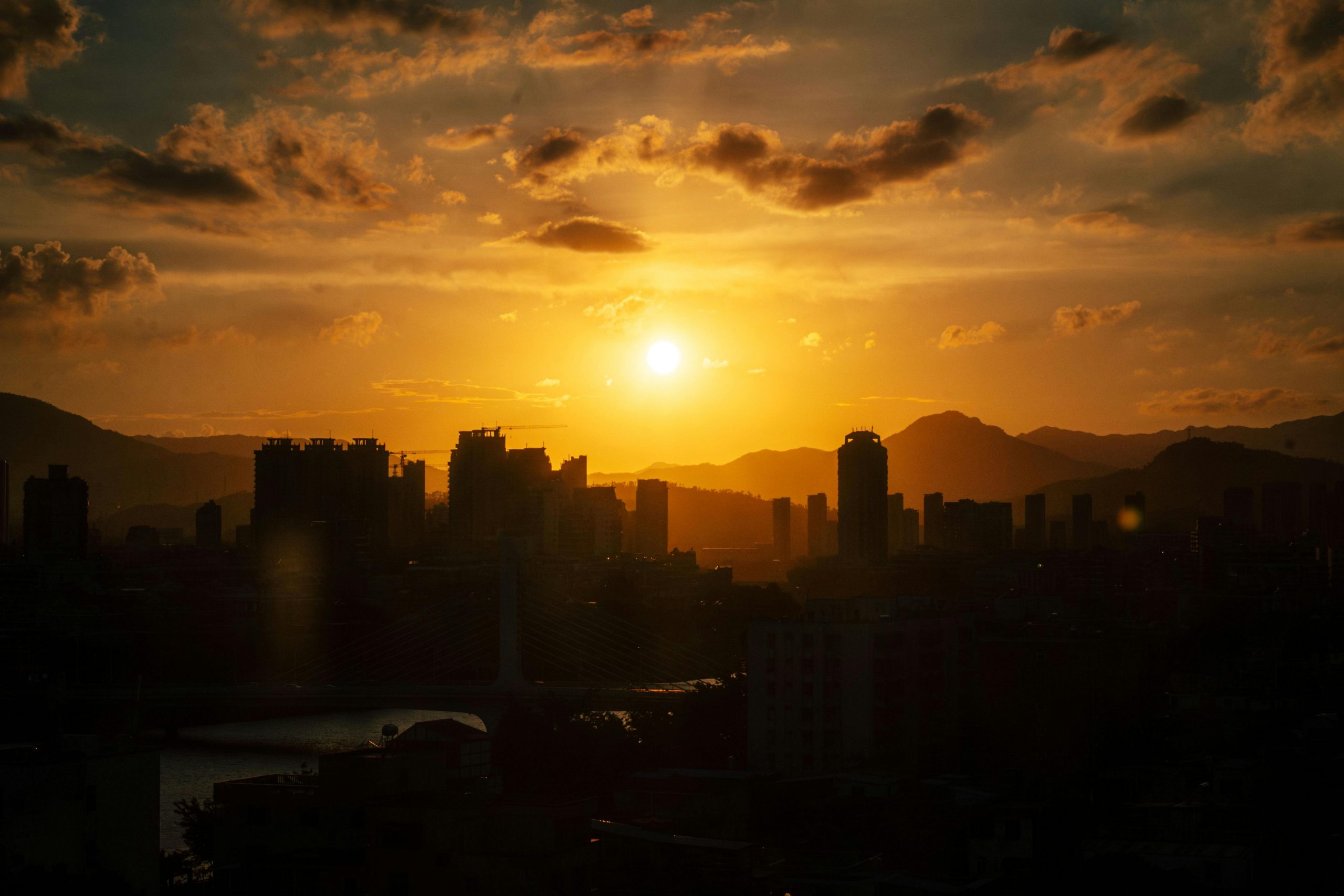 pexels photo 27093153