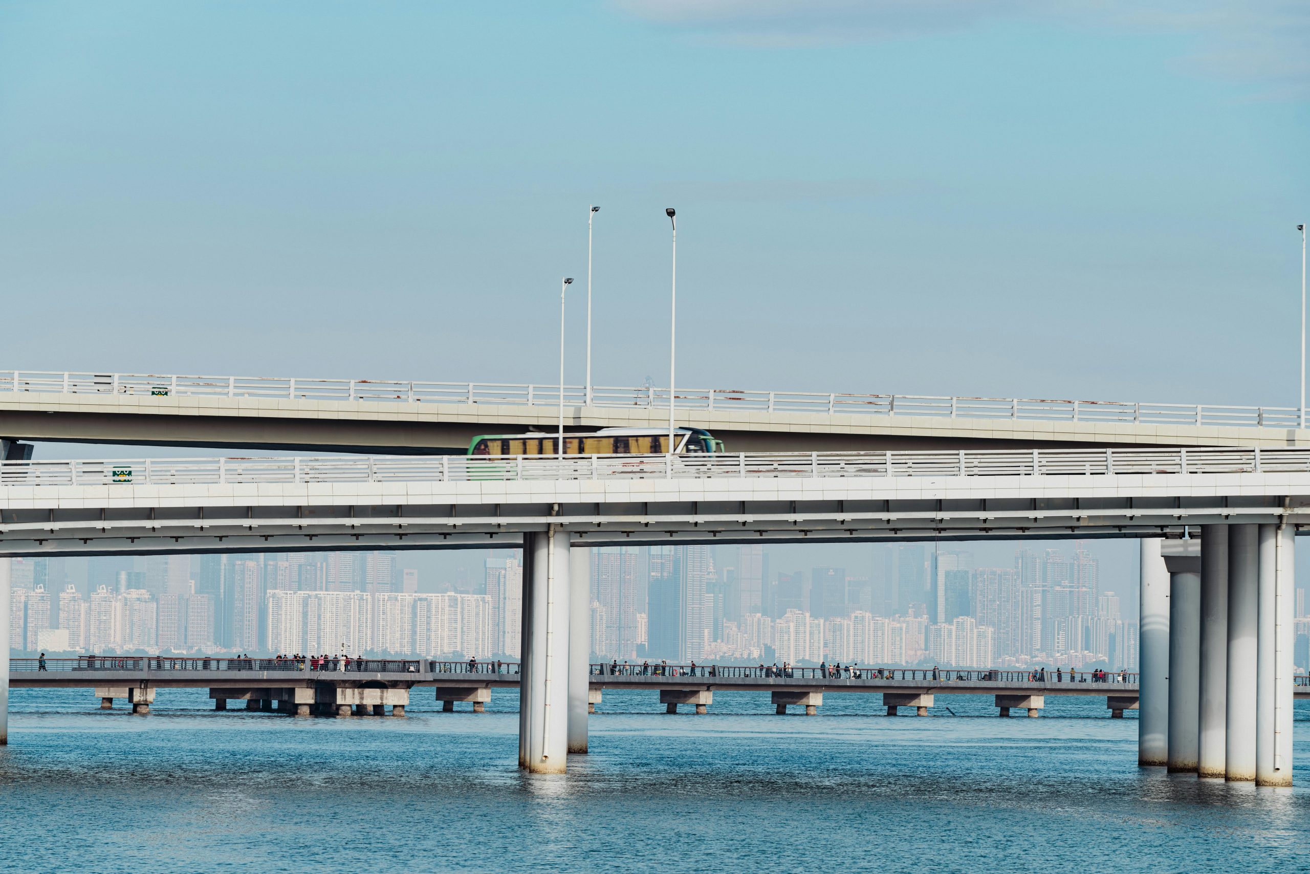 pexels photo 30119261