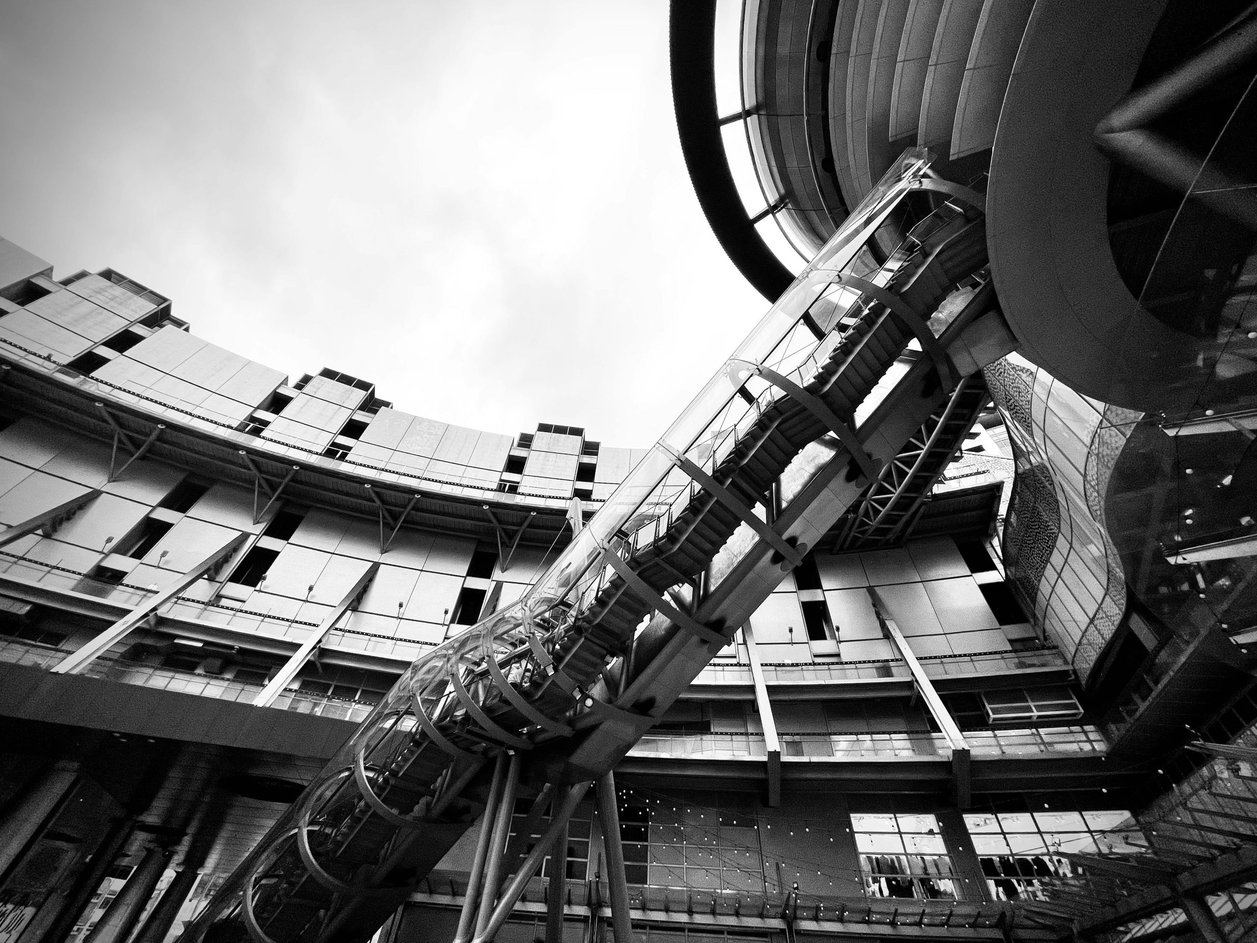 pexels photo 31279930