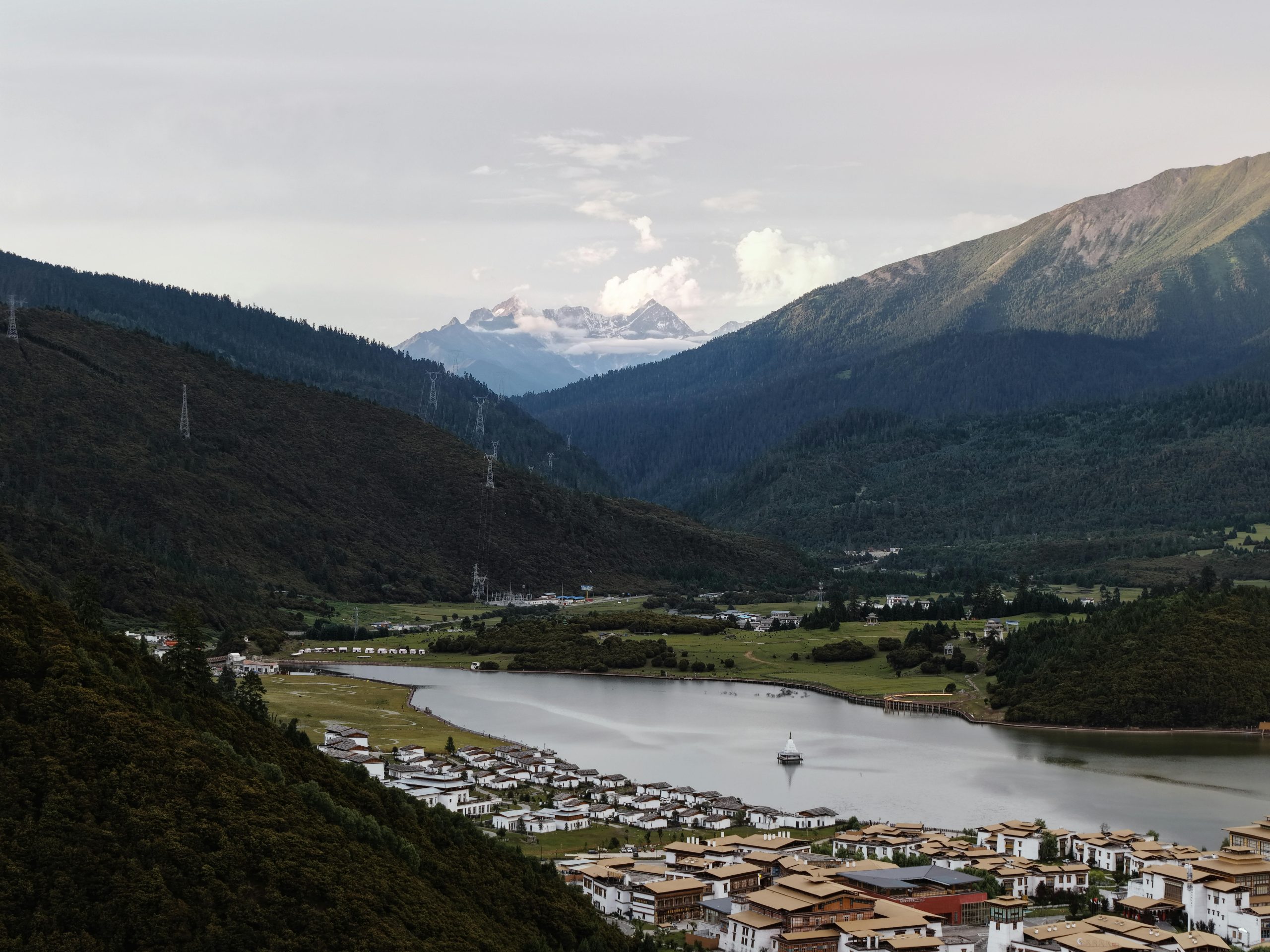 pexels photo 33148688