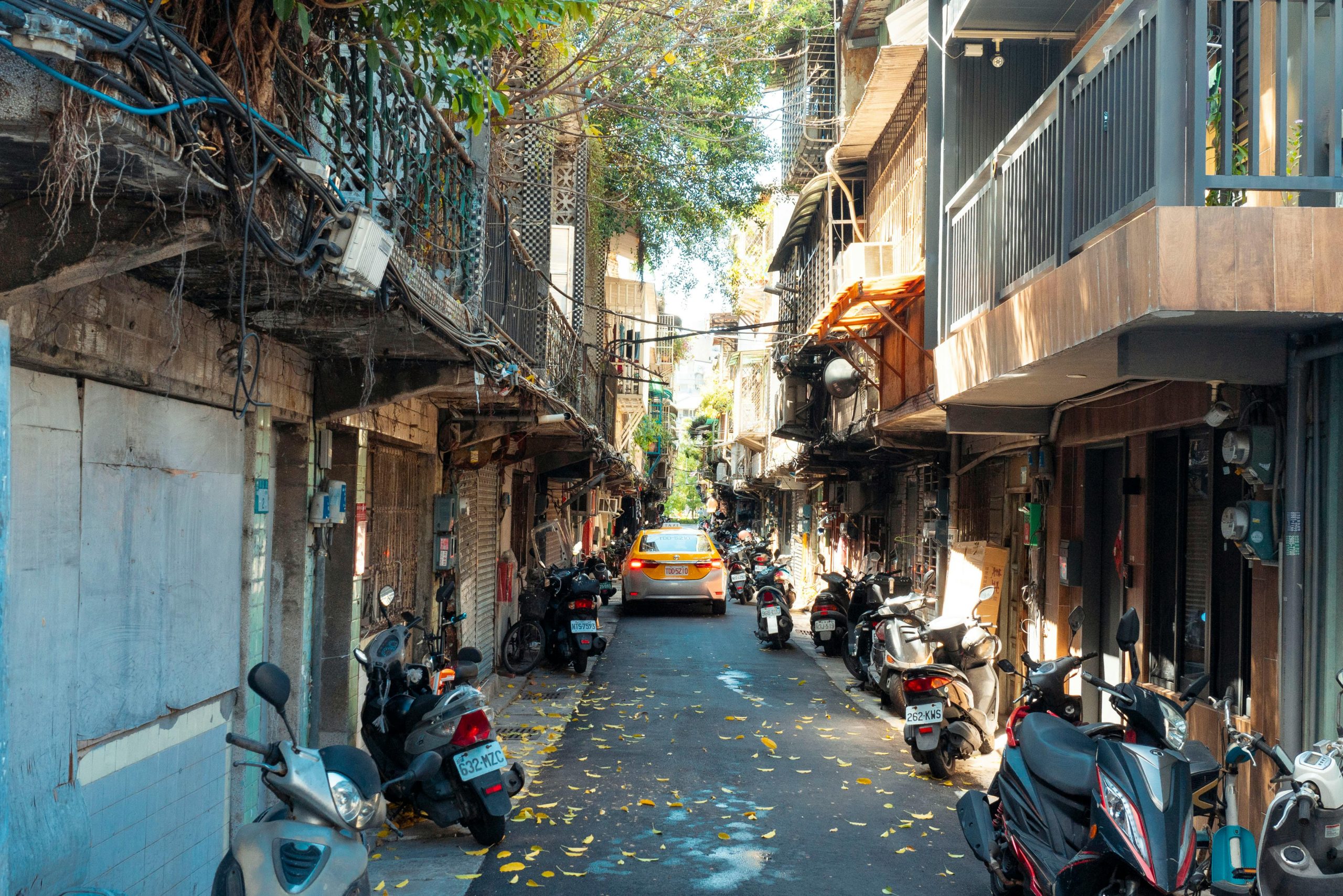 pexels photo 34307082