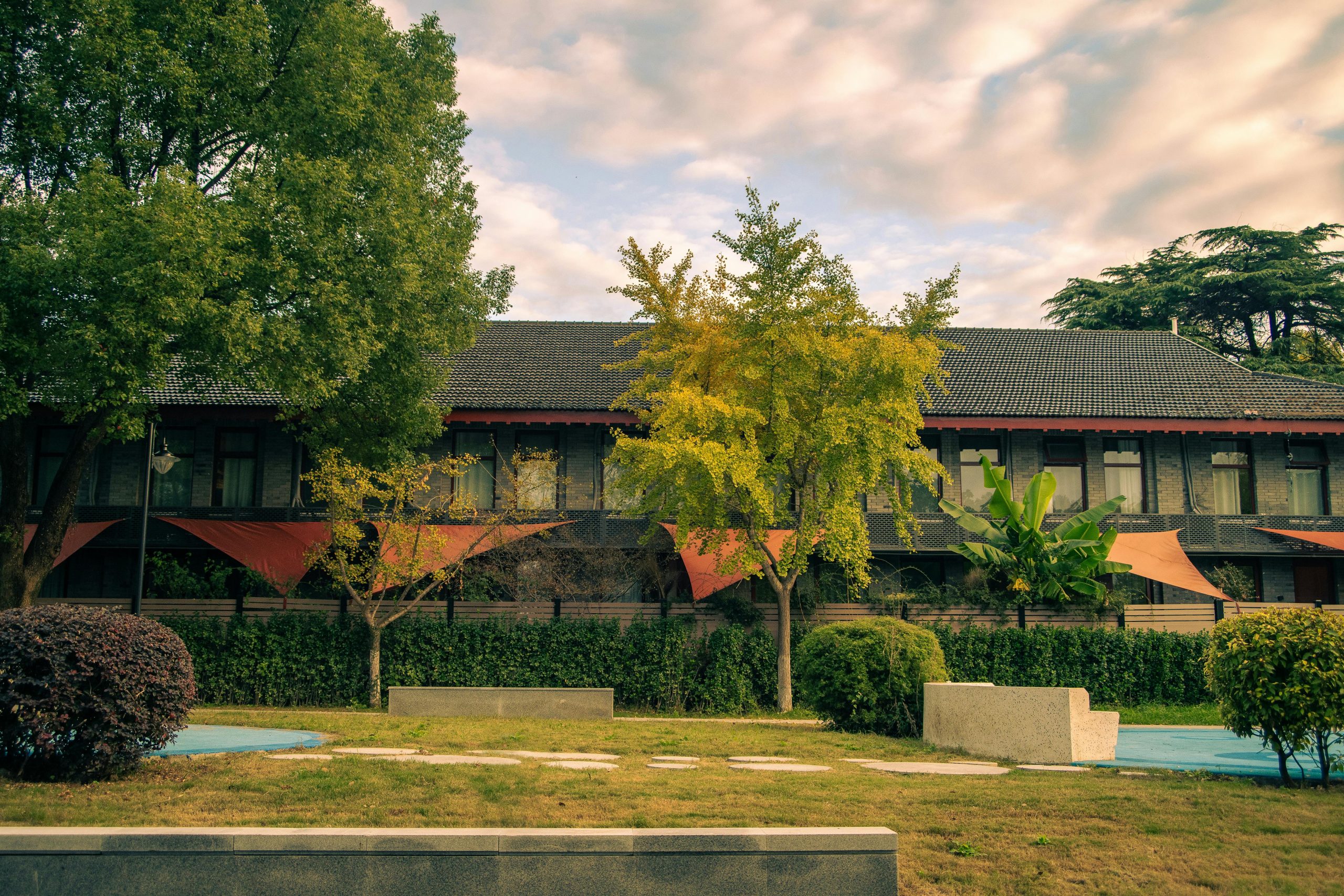 pexels photo 34683717