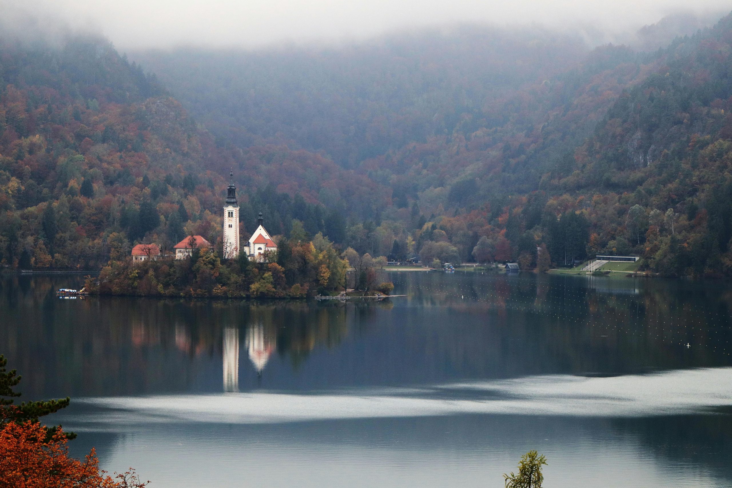 pexels photo 34979278