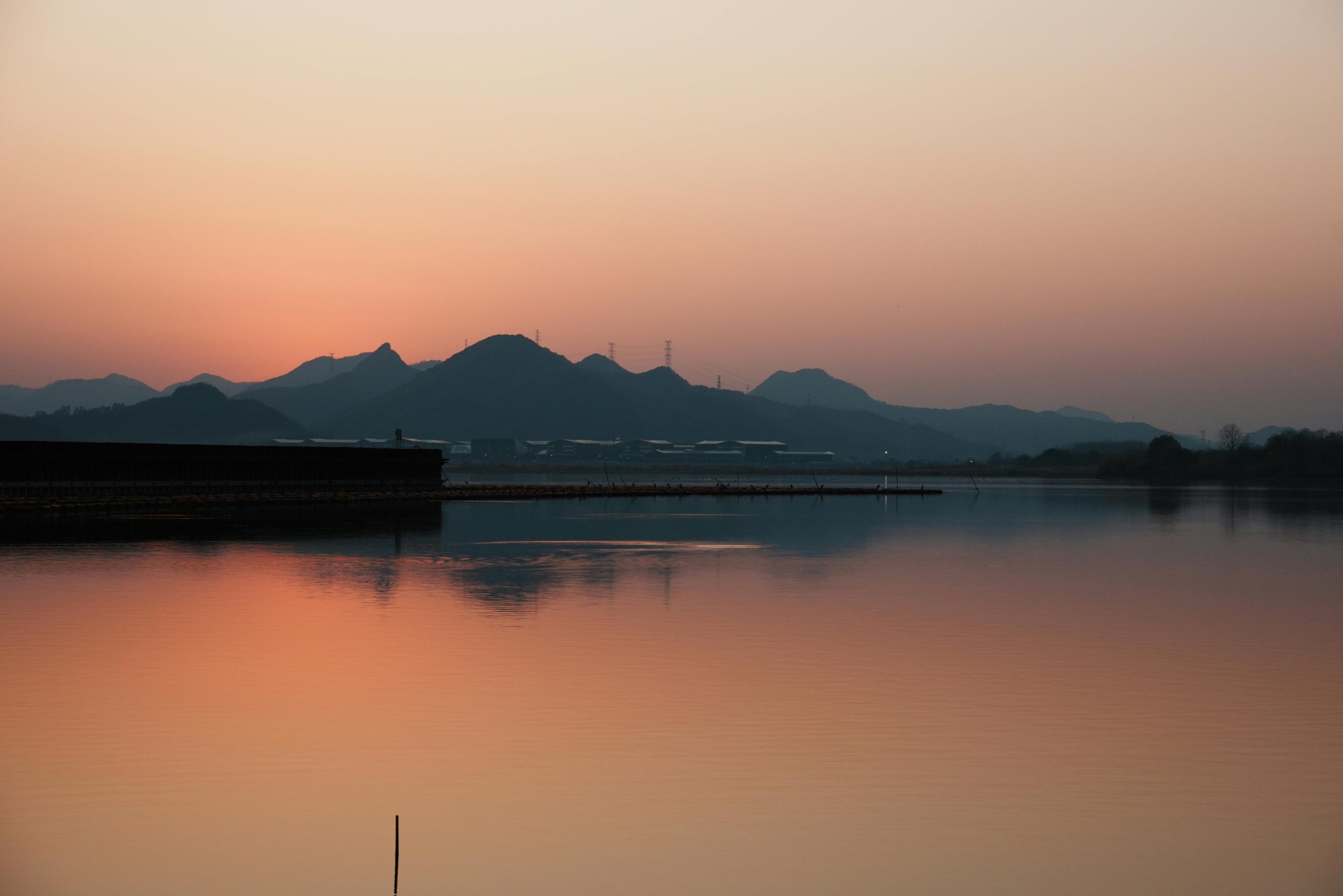 pexels photo 35416965