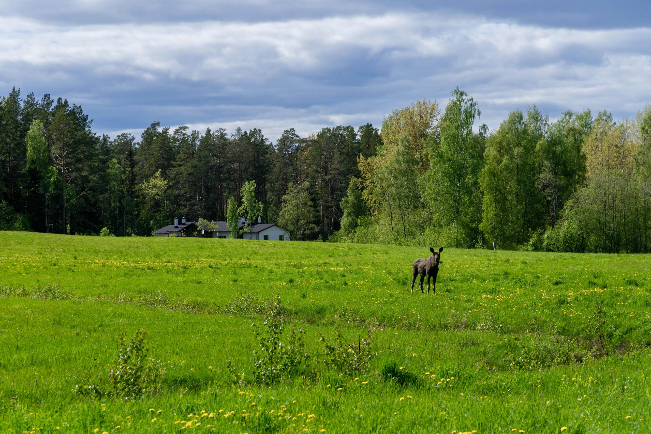 pexels photo 8581392