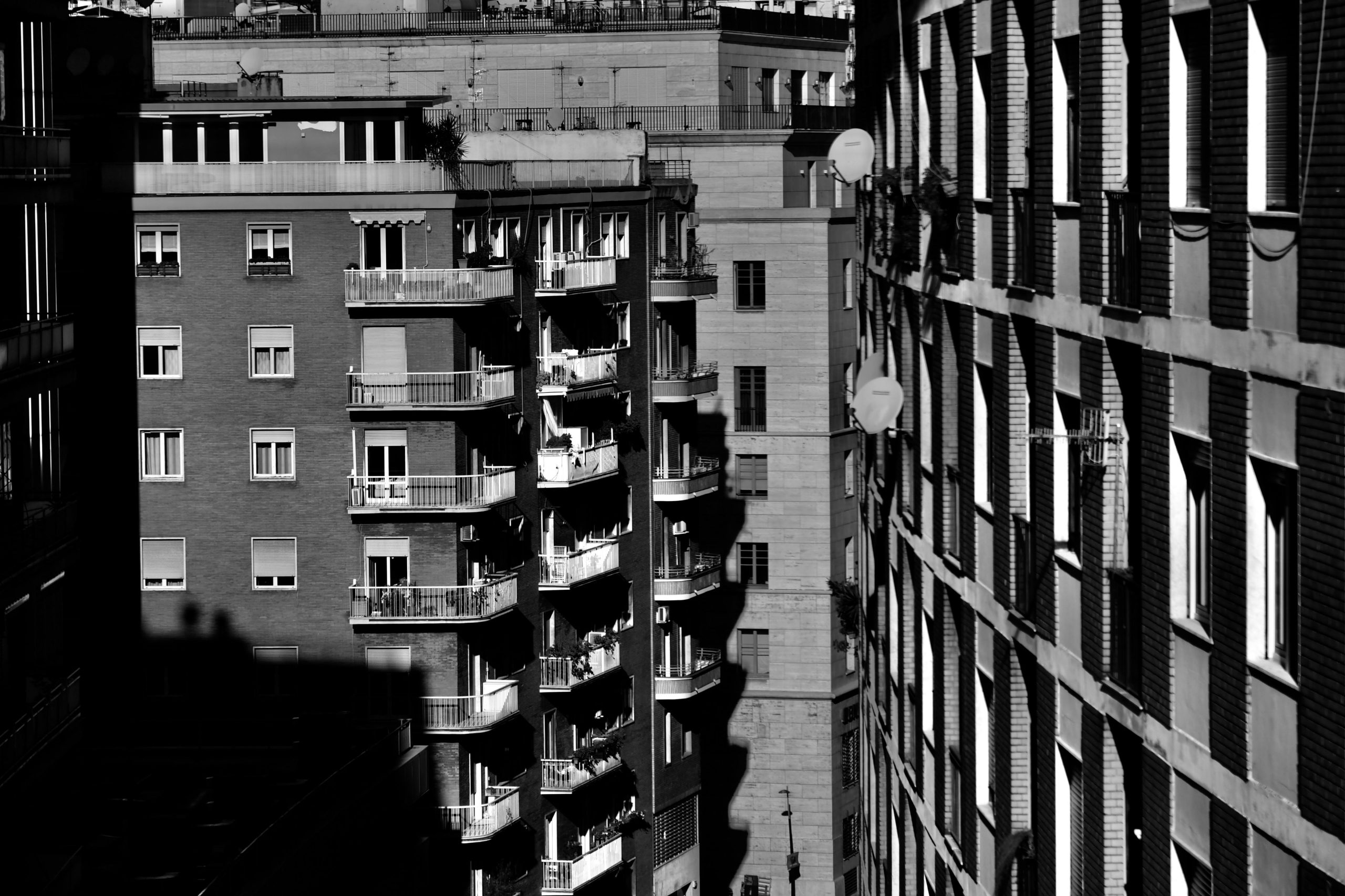 pexels photo 10165535