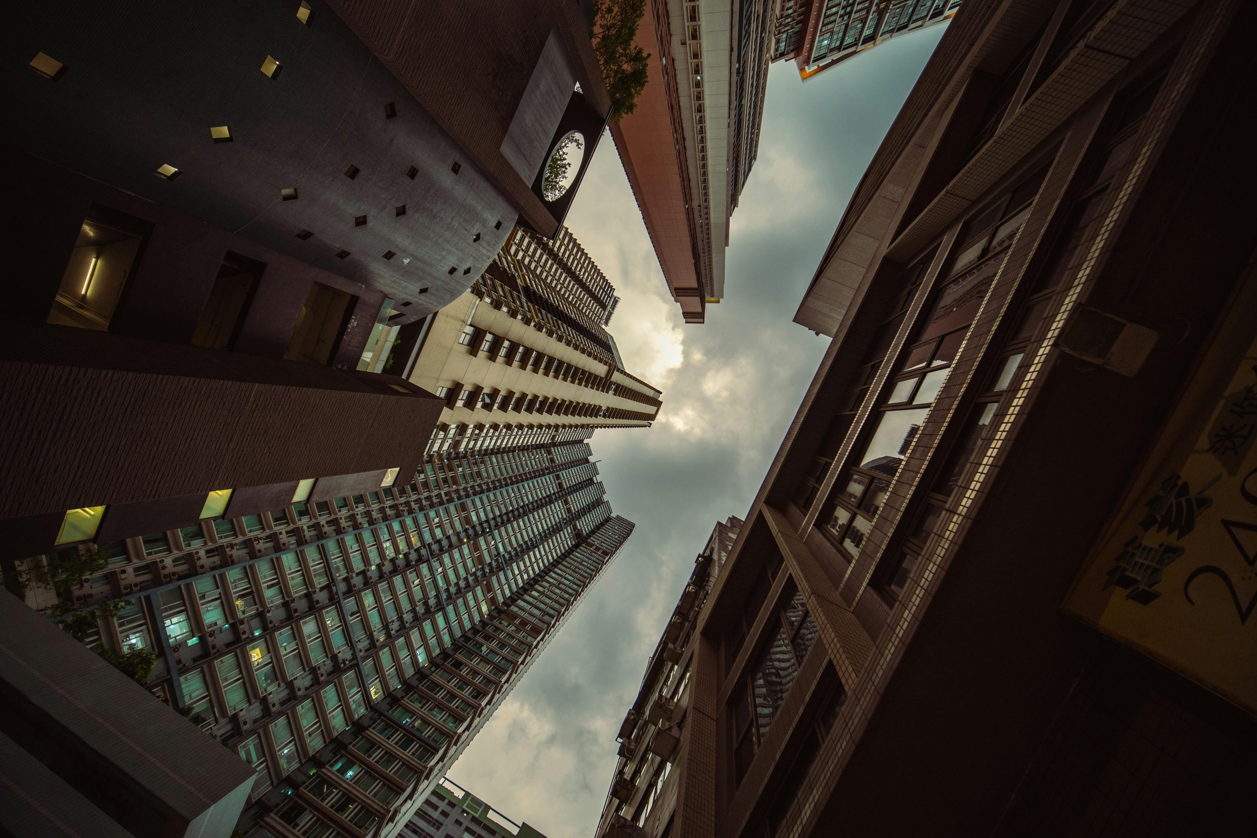 pexels photo 17755151