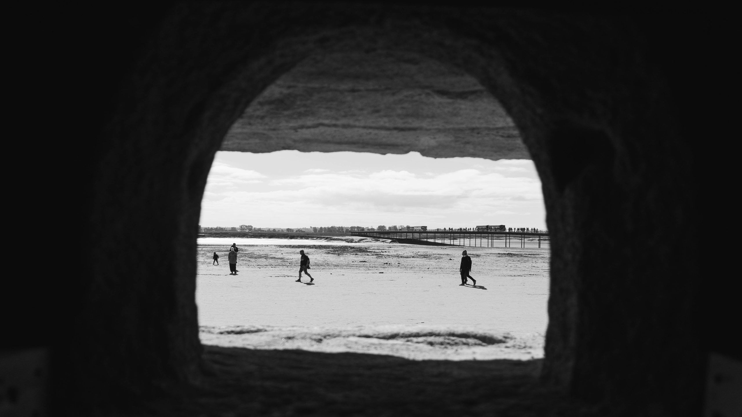 pexels photo 18678103