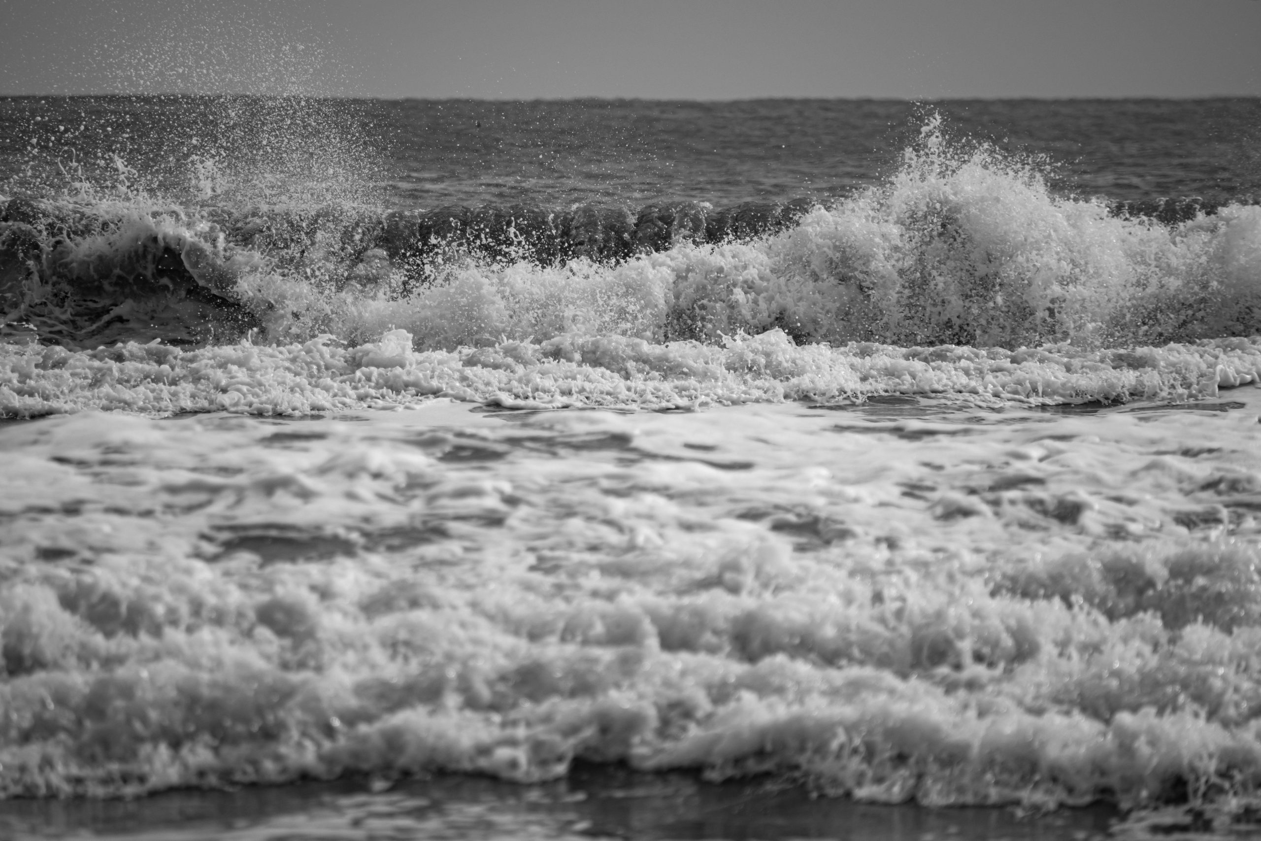 pexels photo 19510768