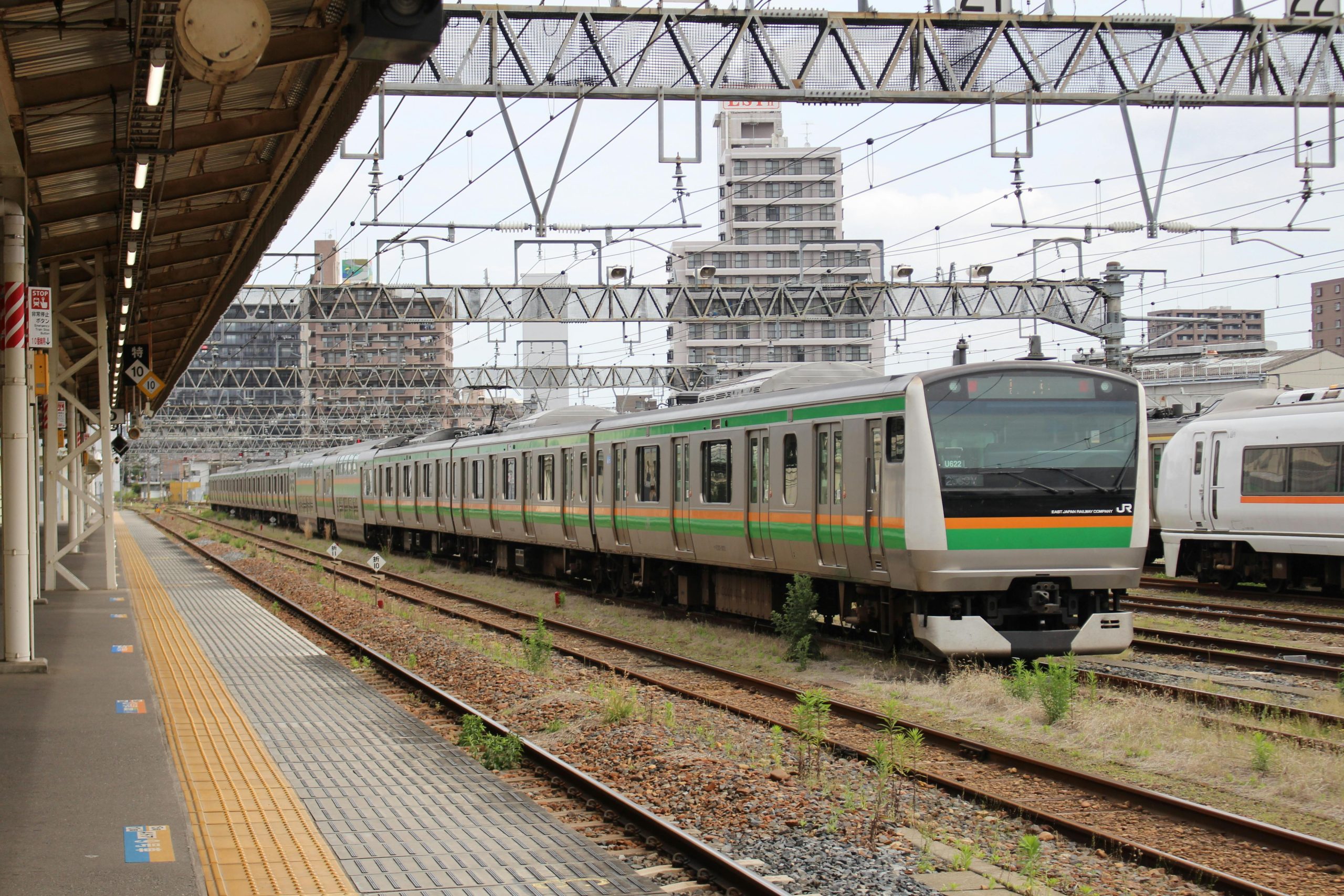 pexels photo 20474727