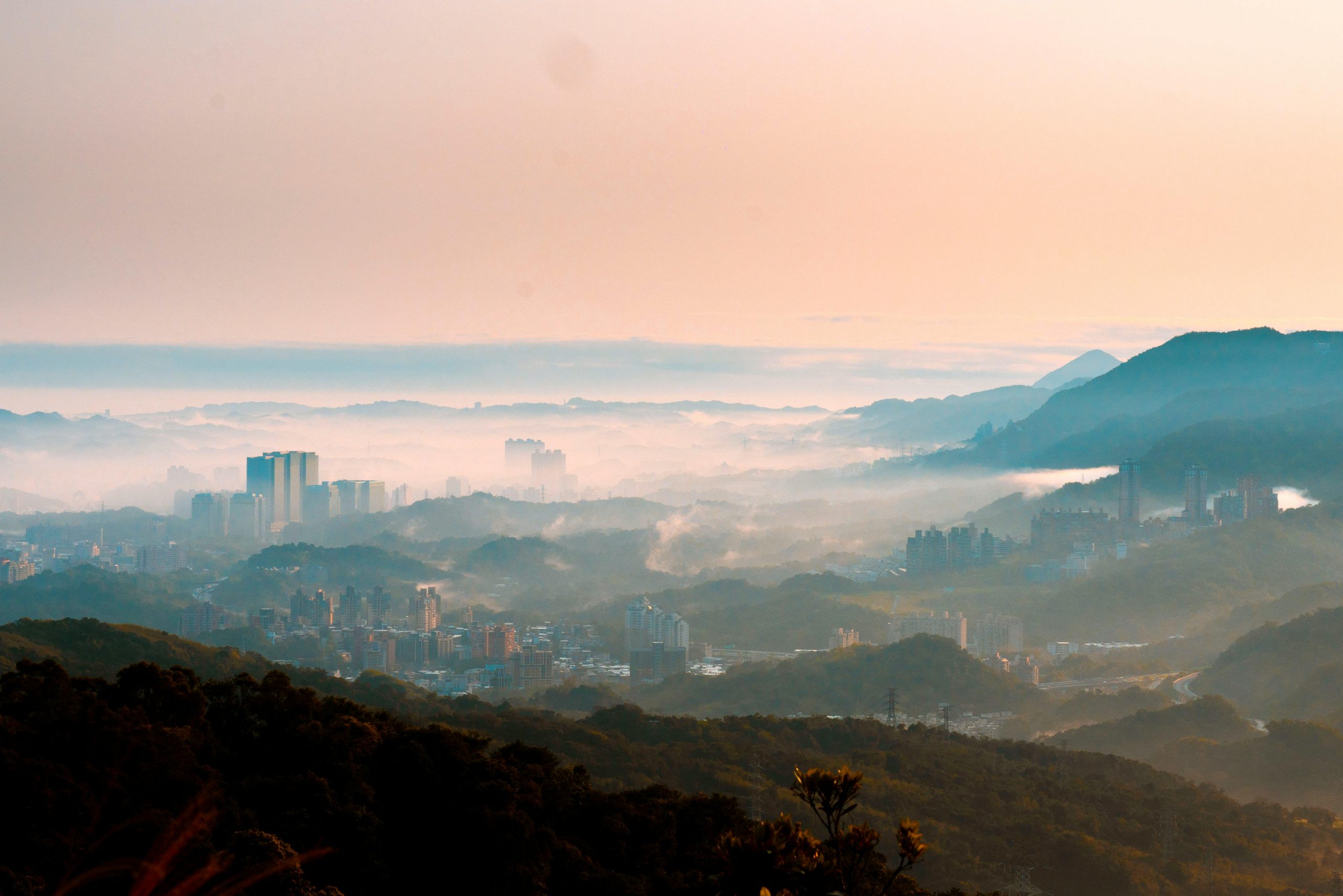 pexels photo 20502259