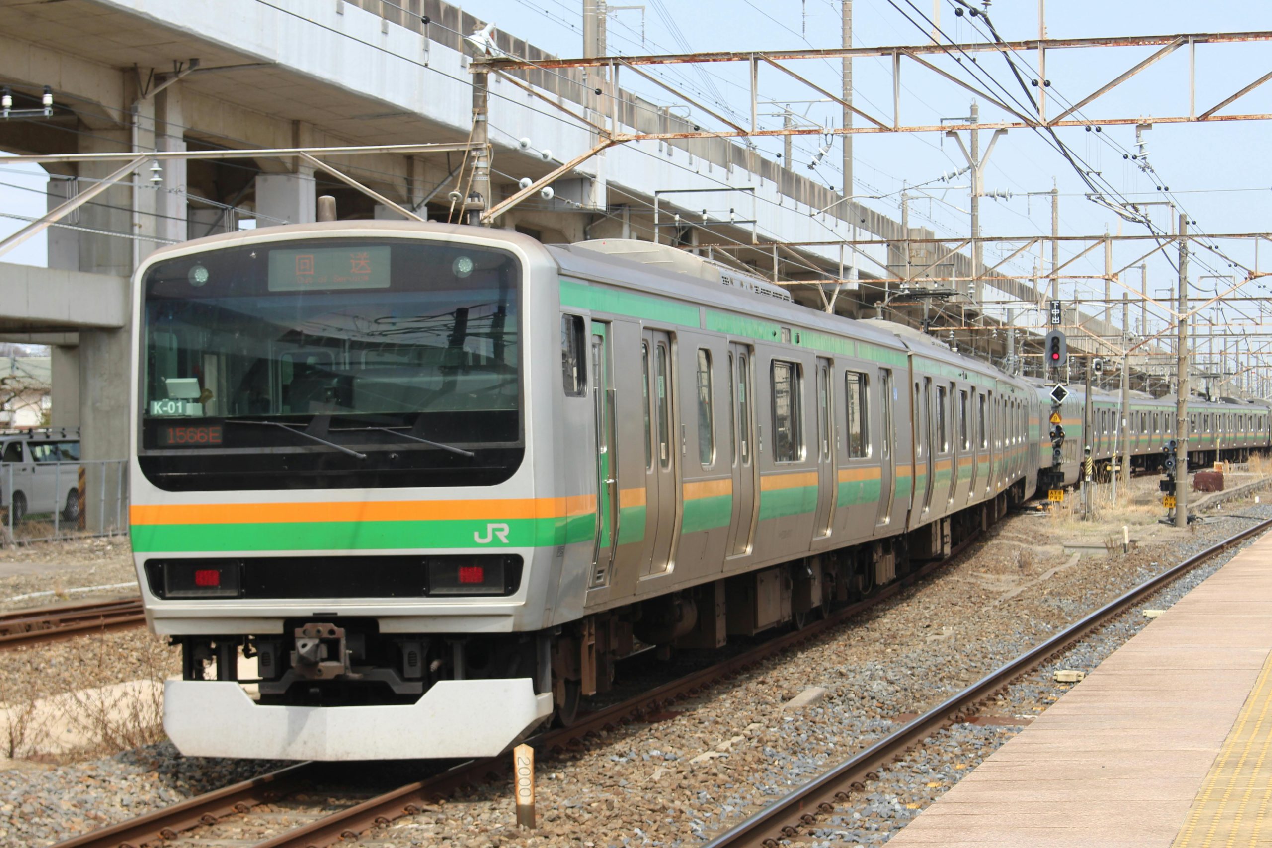 pexels photo 20869434