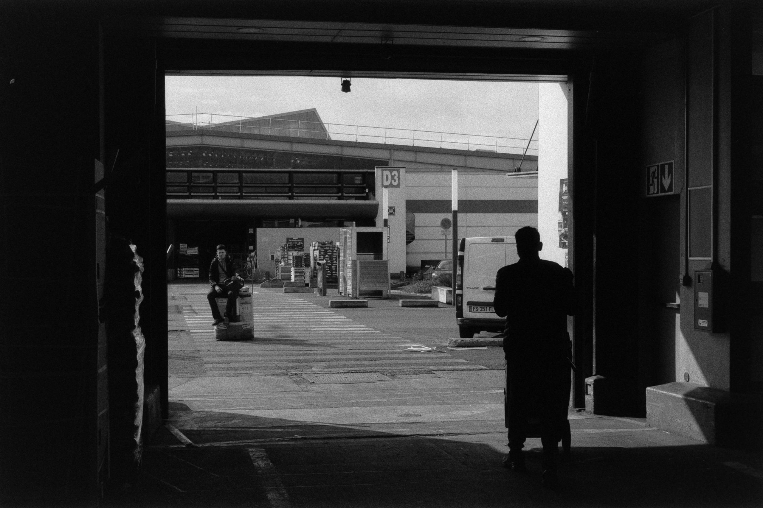 pexels photo 22816194