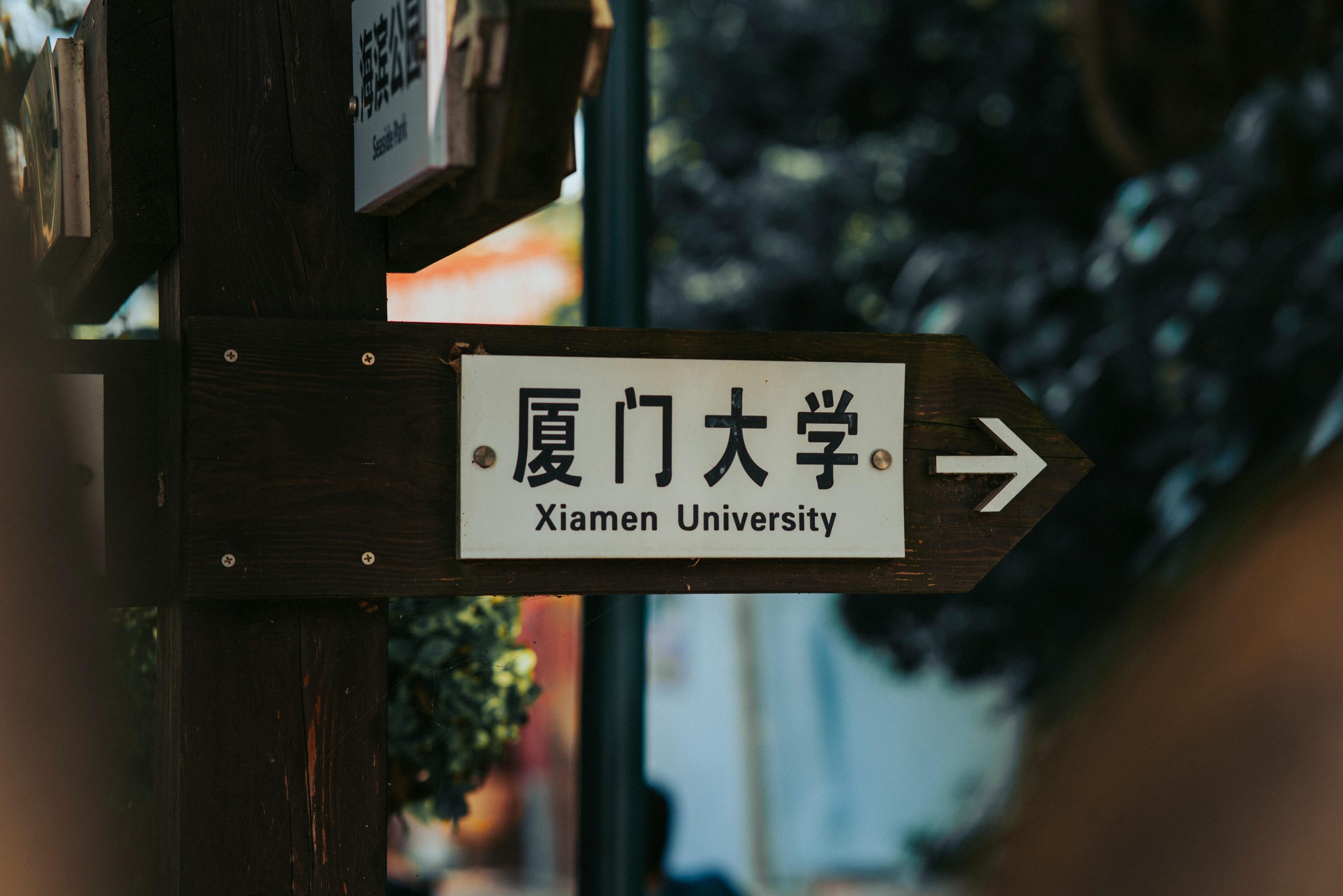 pexels photo 23440116