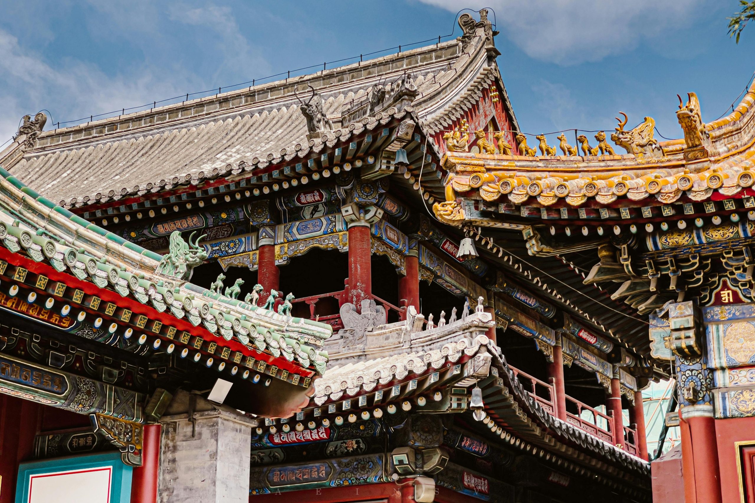 pexels photo 27299109