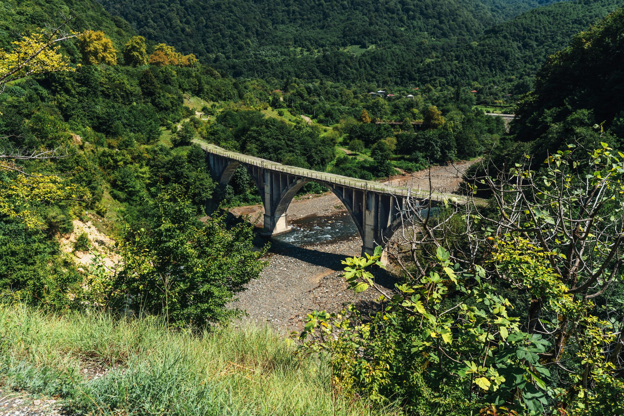 pexels photo 28380463