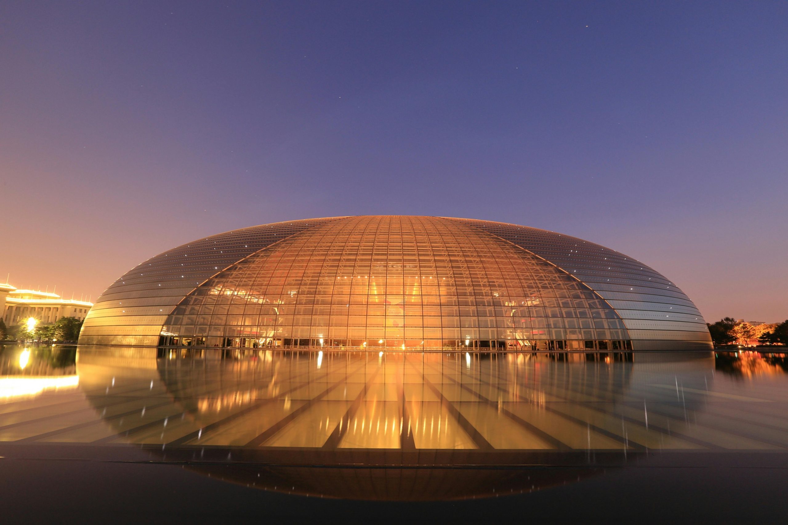 pexels photo 28724831