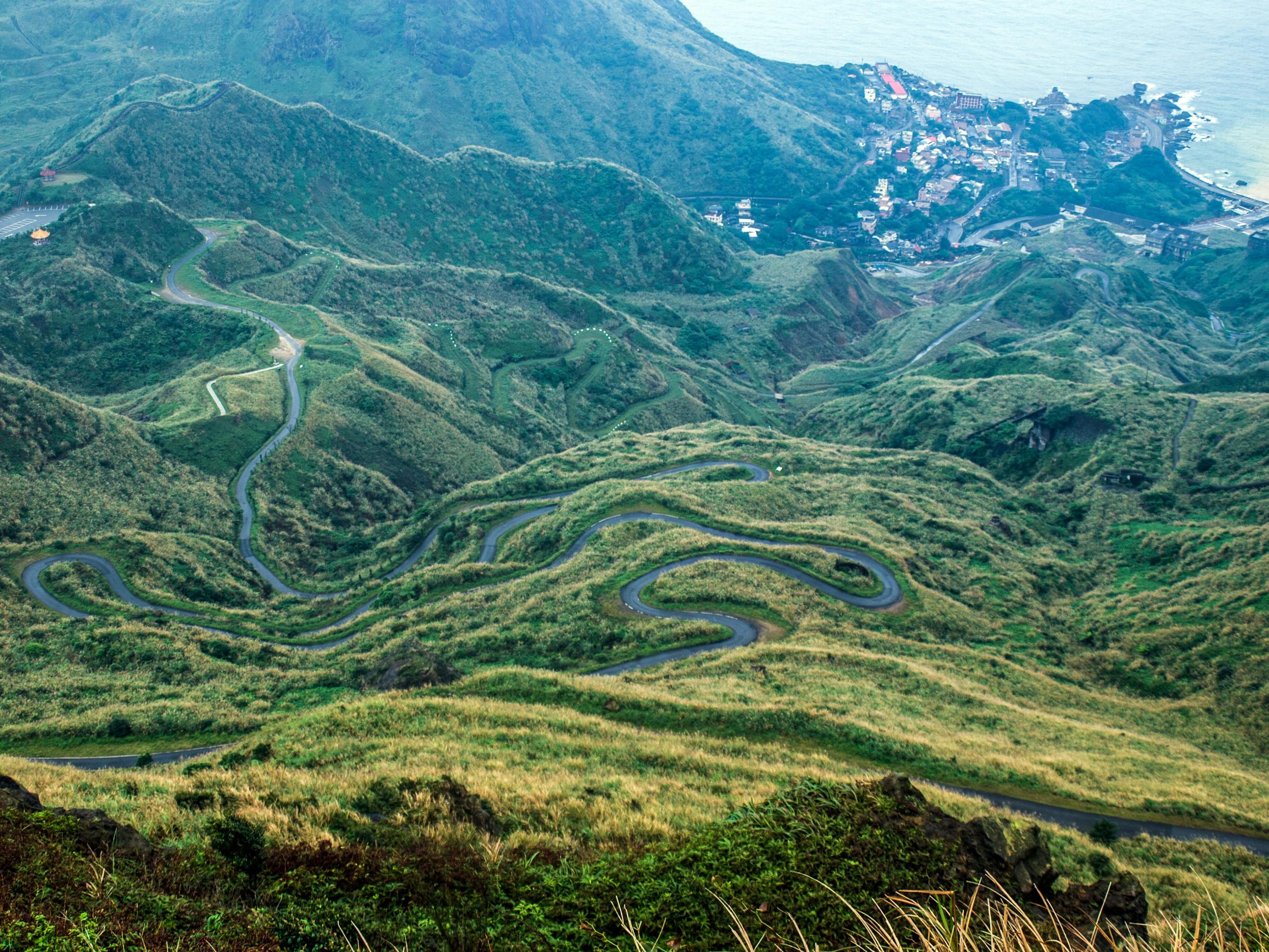 pexels photo 29781048