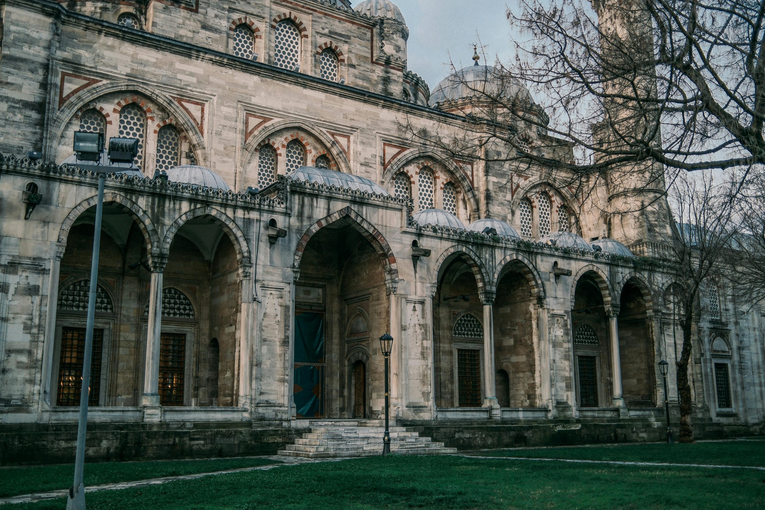 pexels photo 30720770