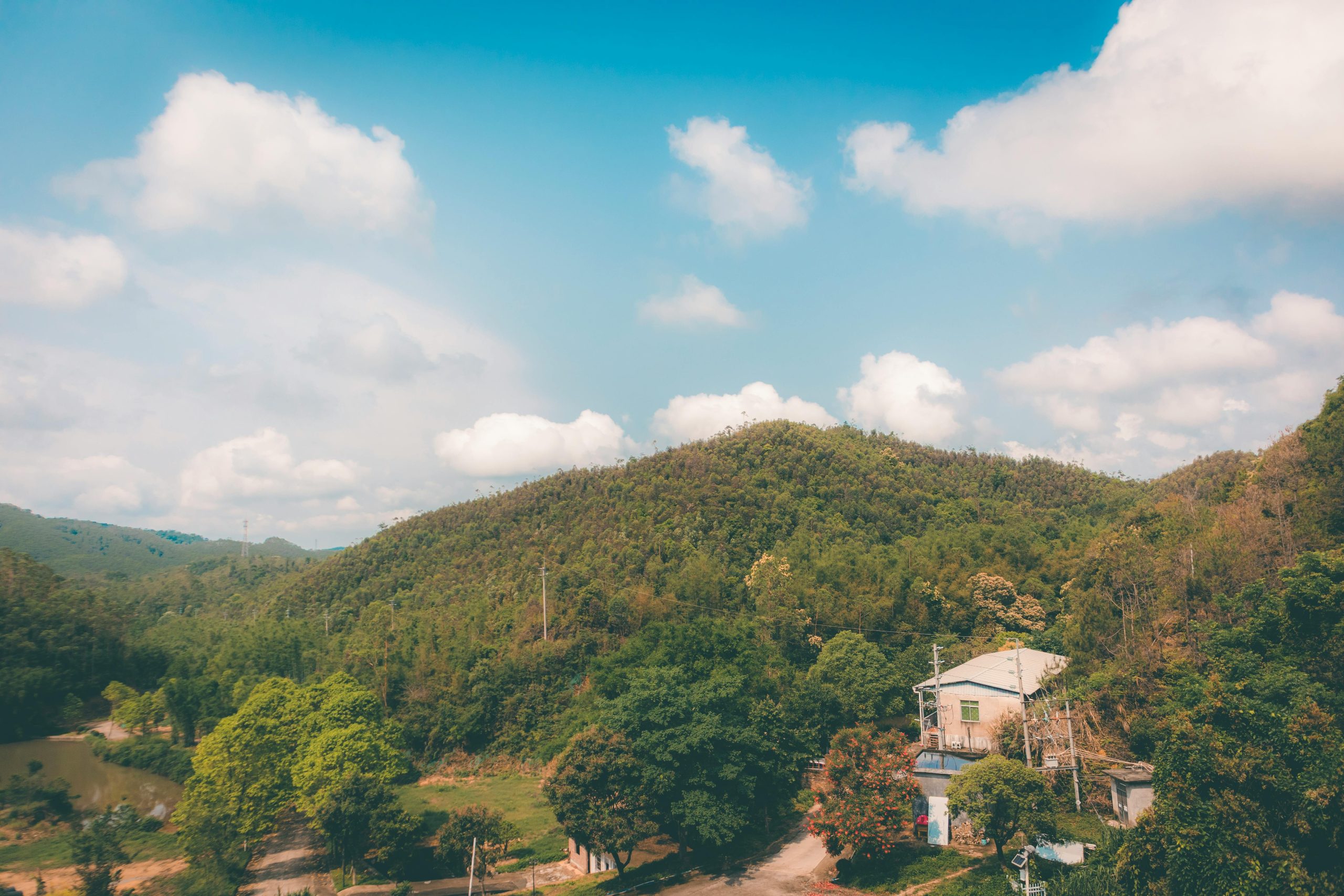 pexels photo 31829081