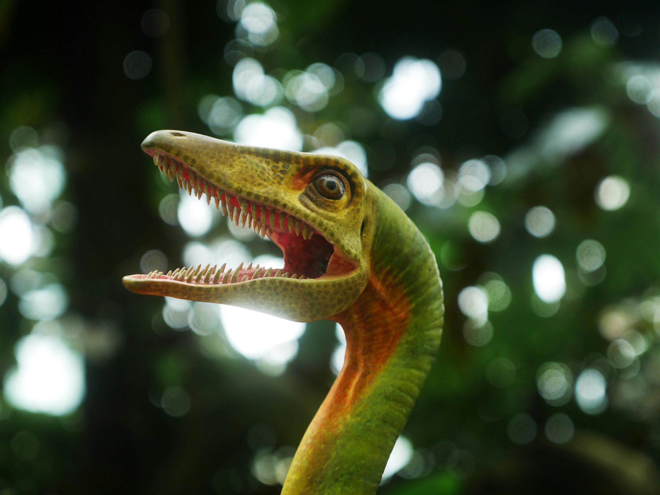 pexels photo 32928984