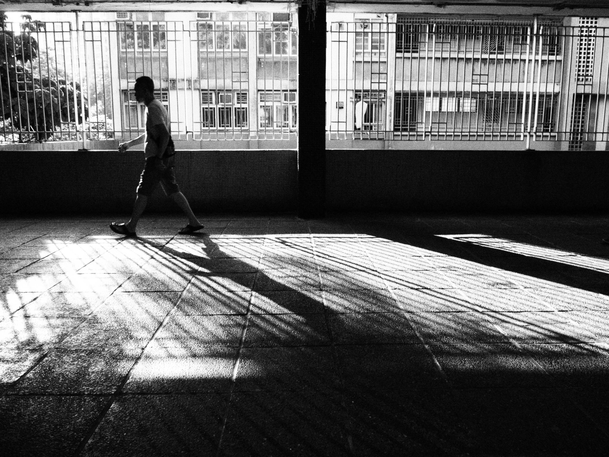 pexels photo 33374664