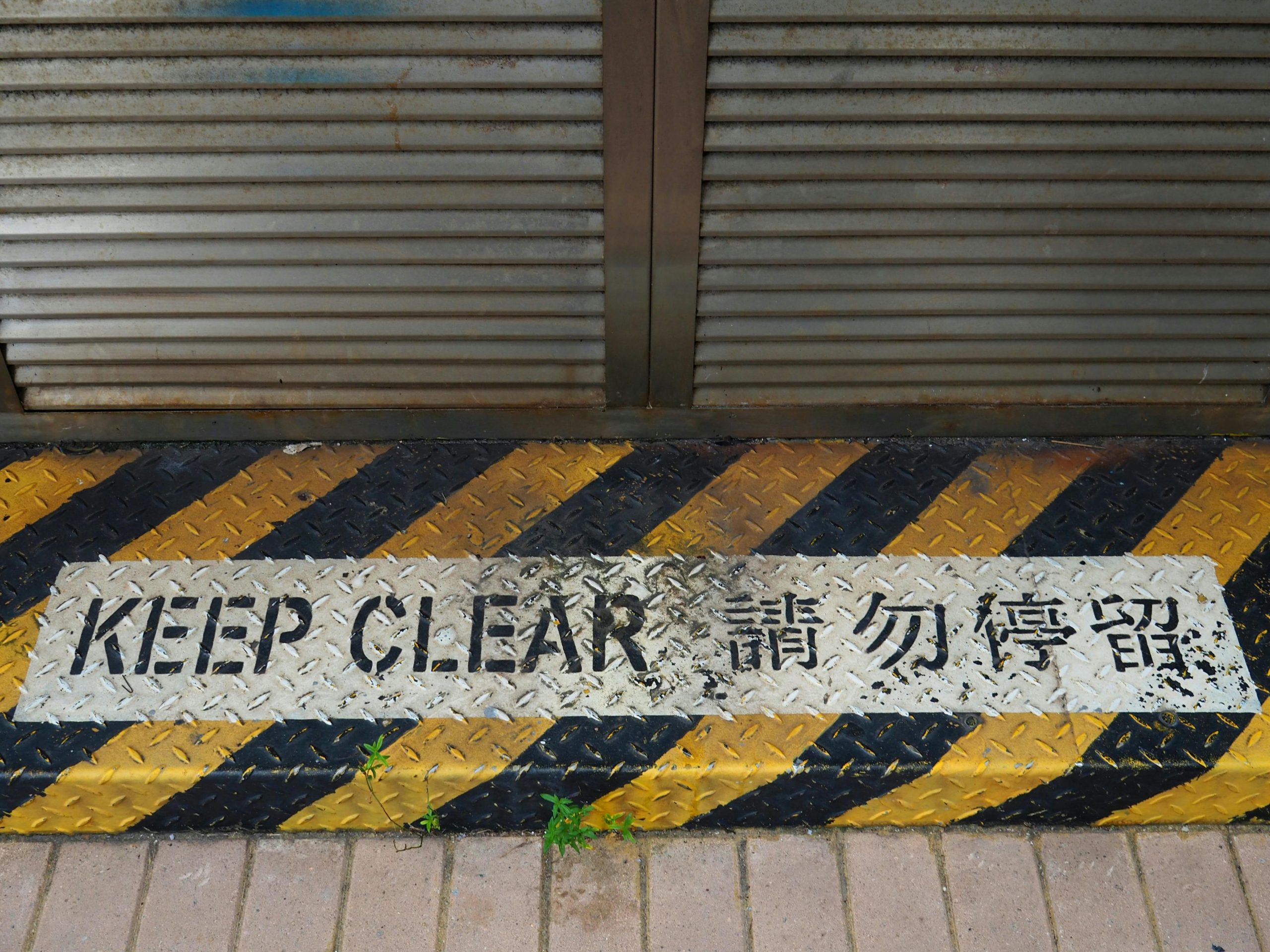 pexels photo 33656275