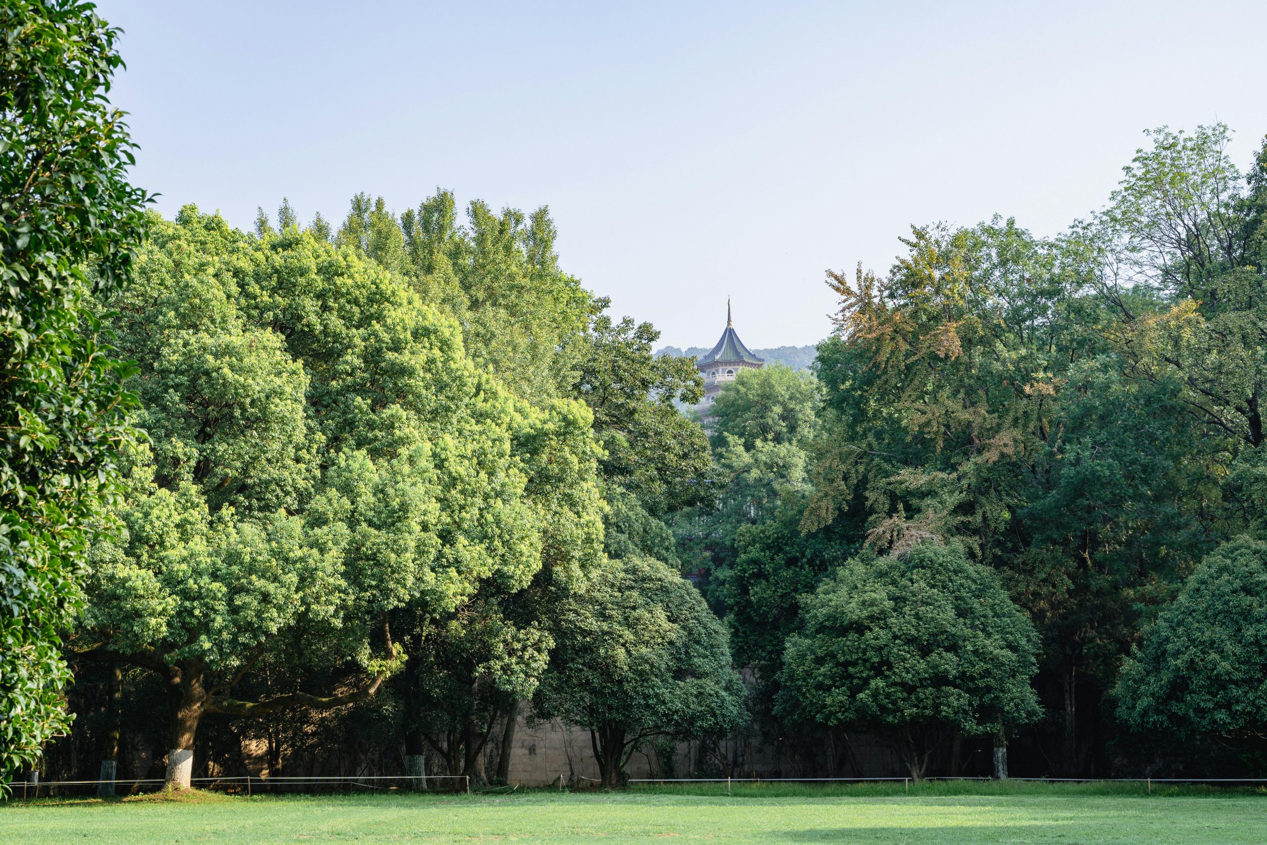 pexels photo 33792337