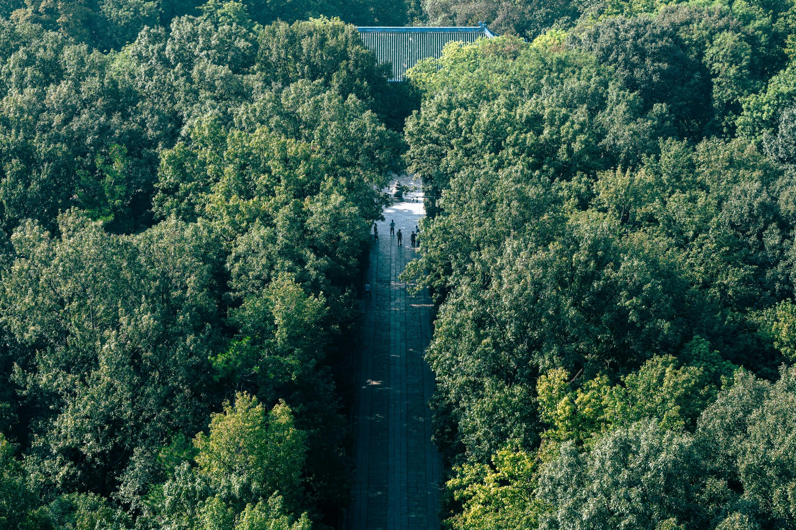 pexels photo 33792340