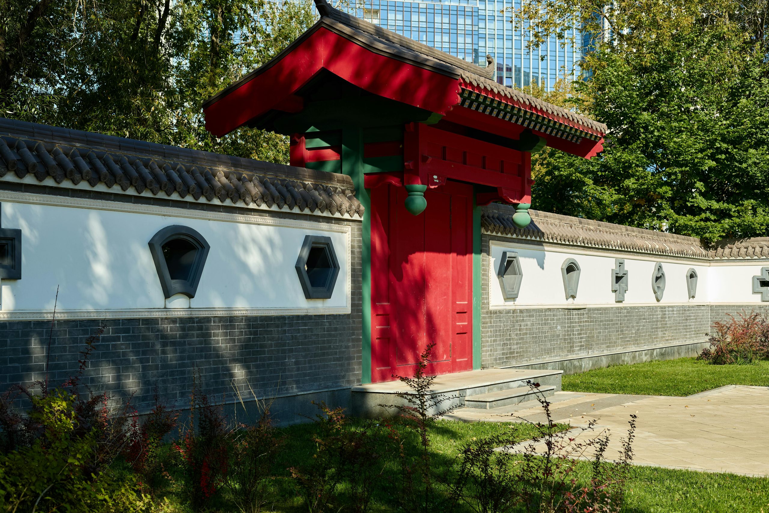 pexels photo 34004739