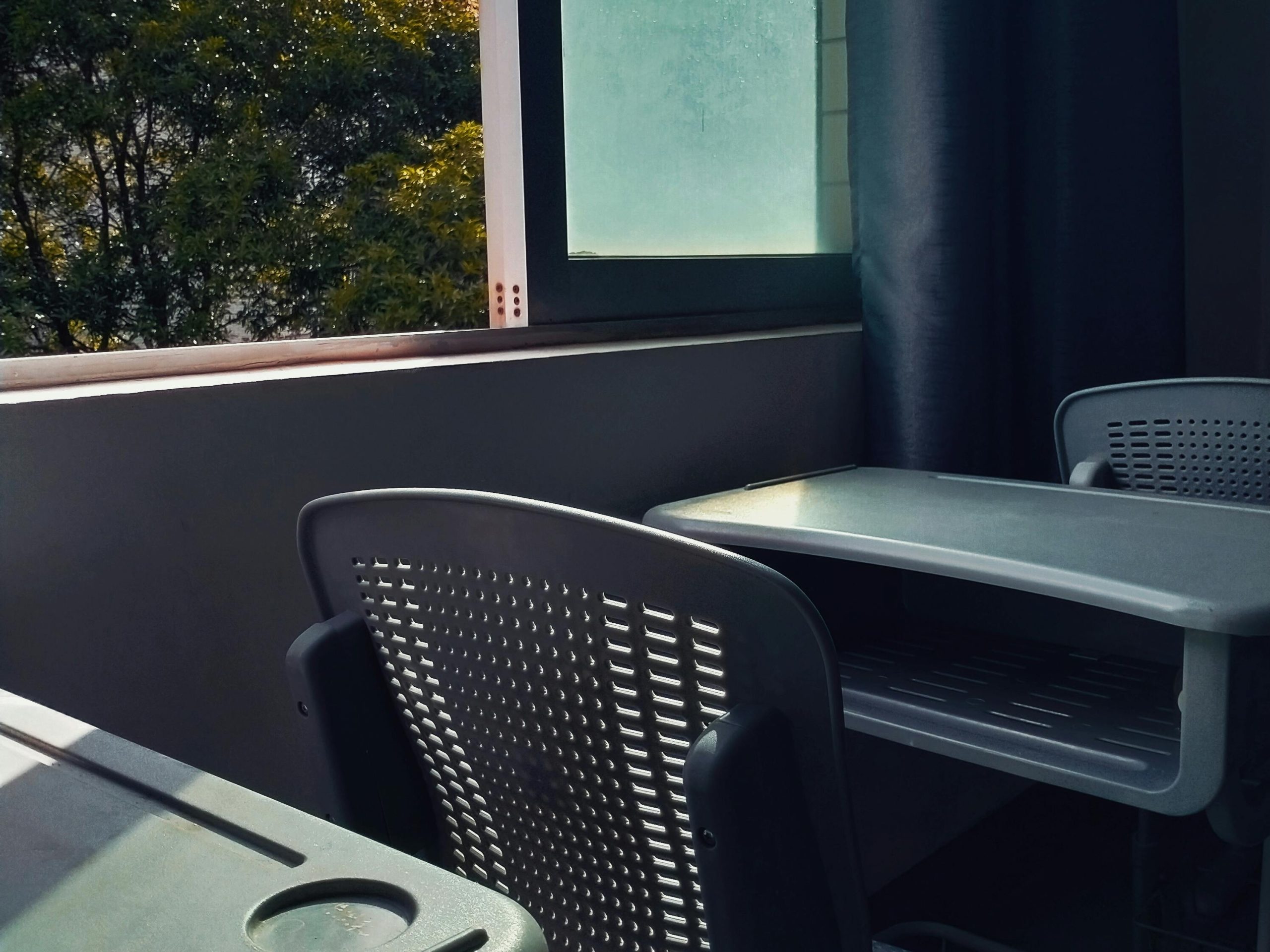 pexels photo 34052441