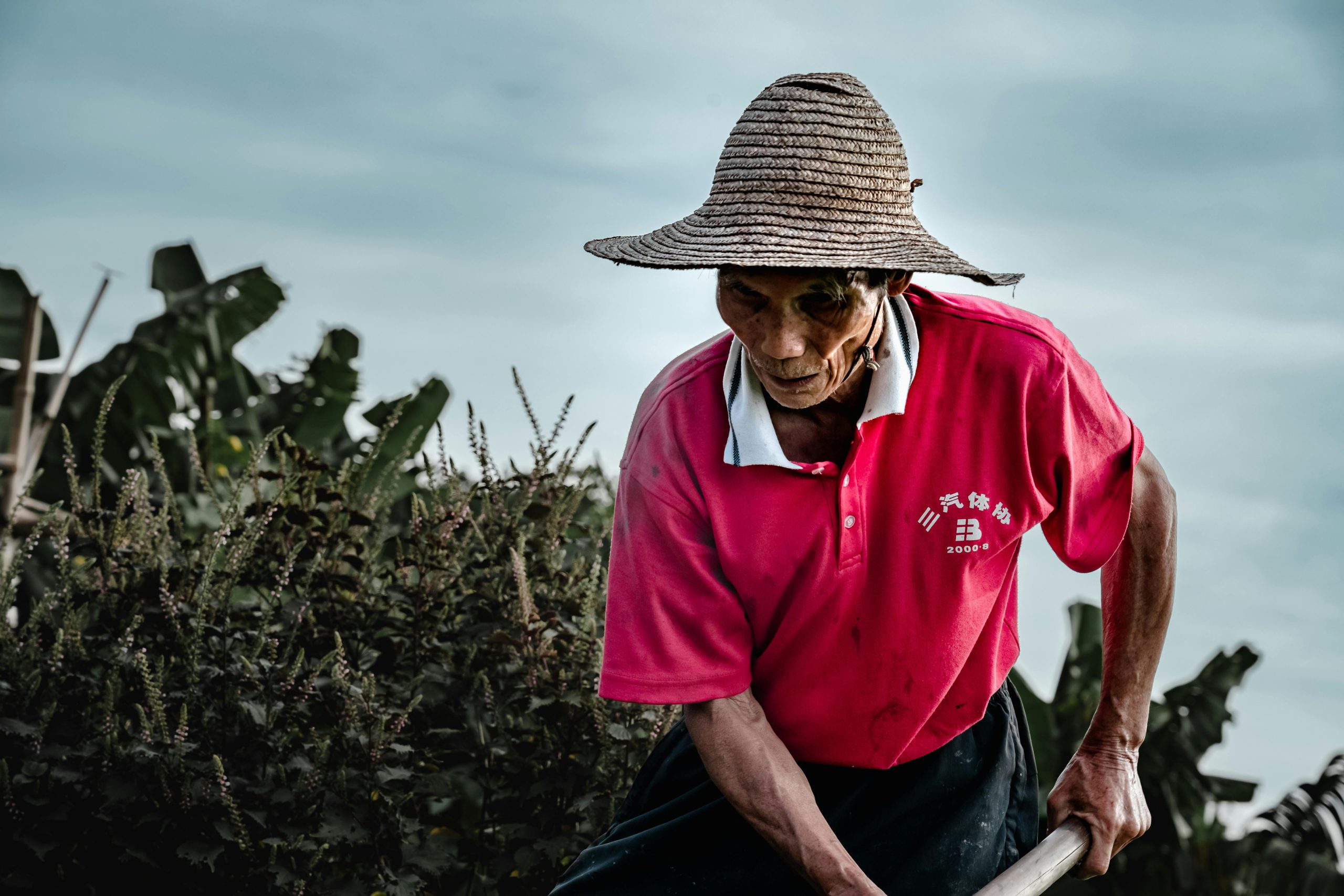 pexels photo 34231777