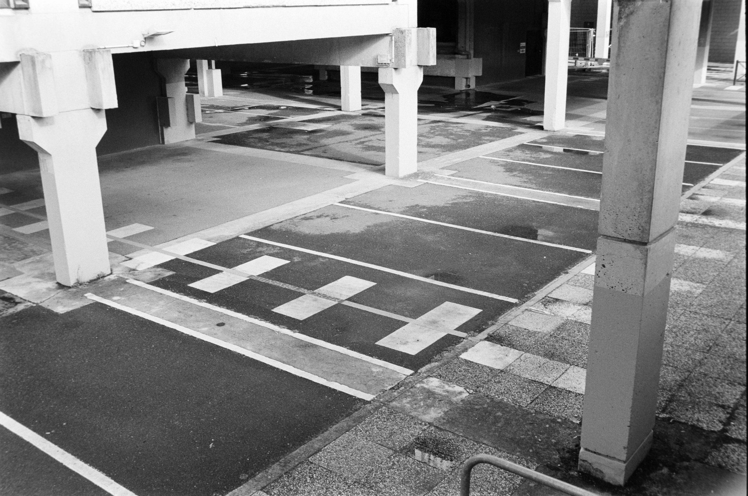 pexels photo 34460036