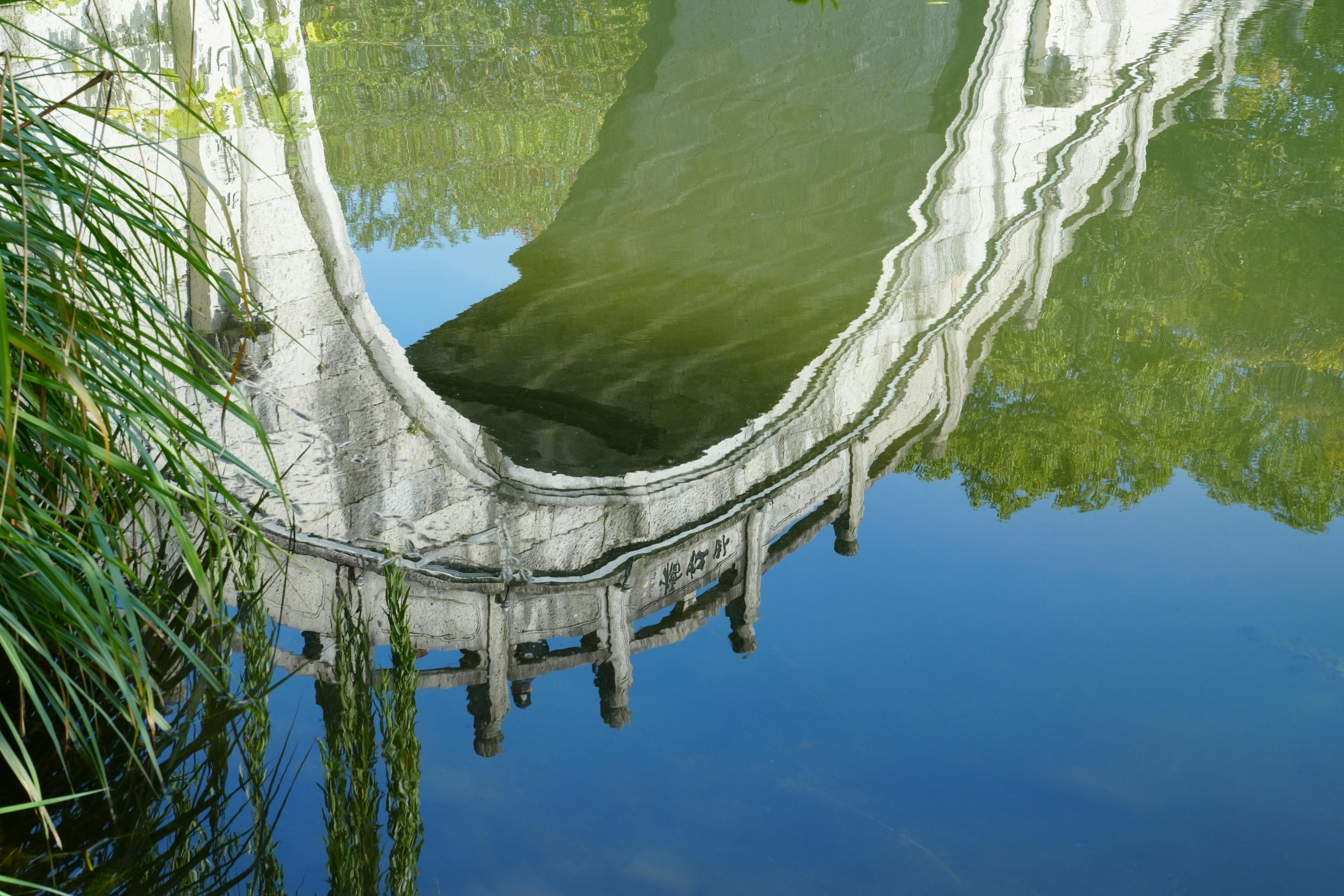 pexels photo 34967560