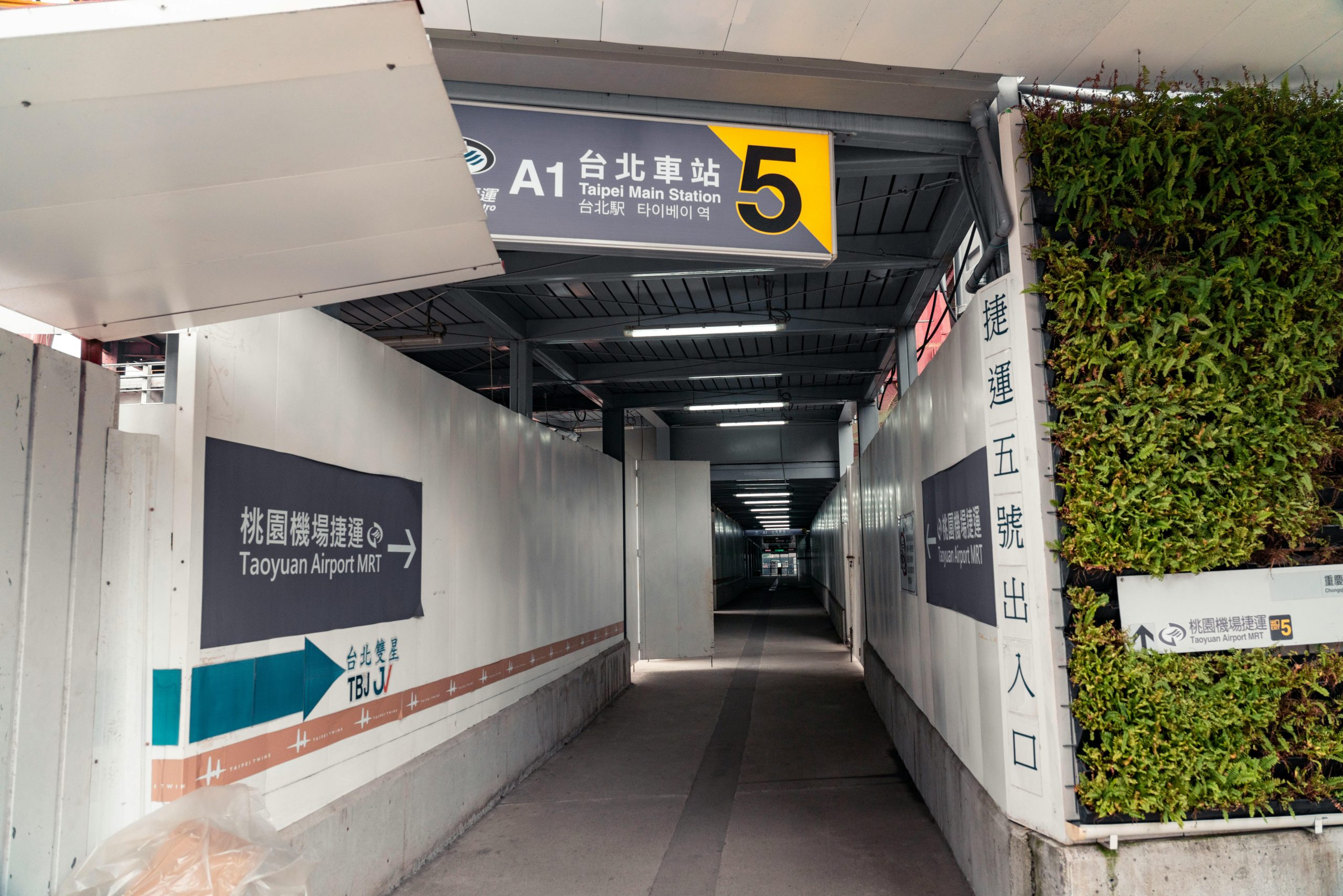 pexels photo 35558259