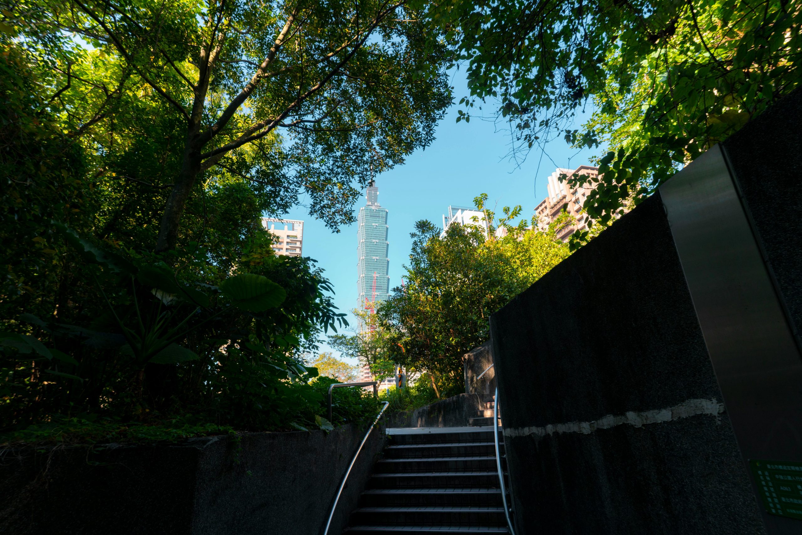 pexels photo 35606374