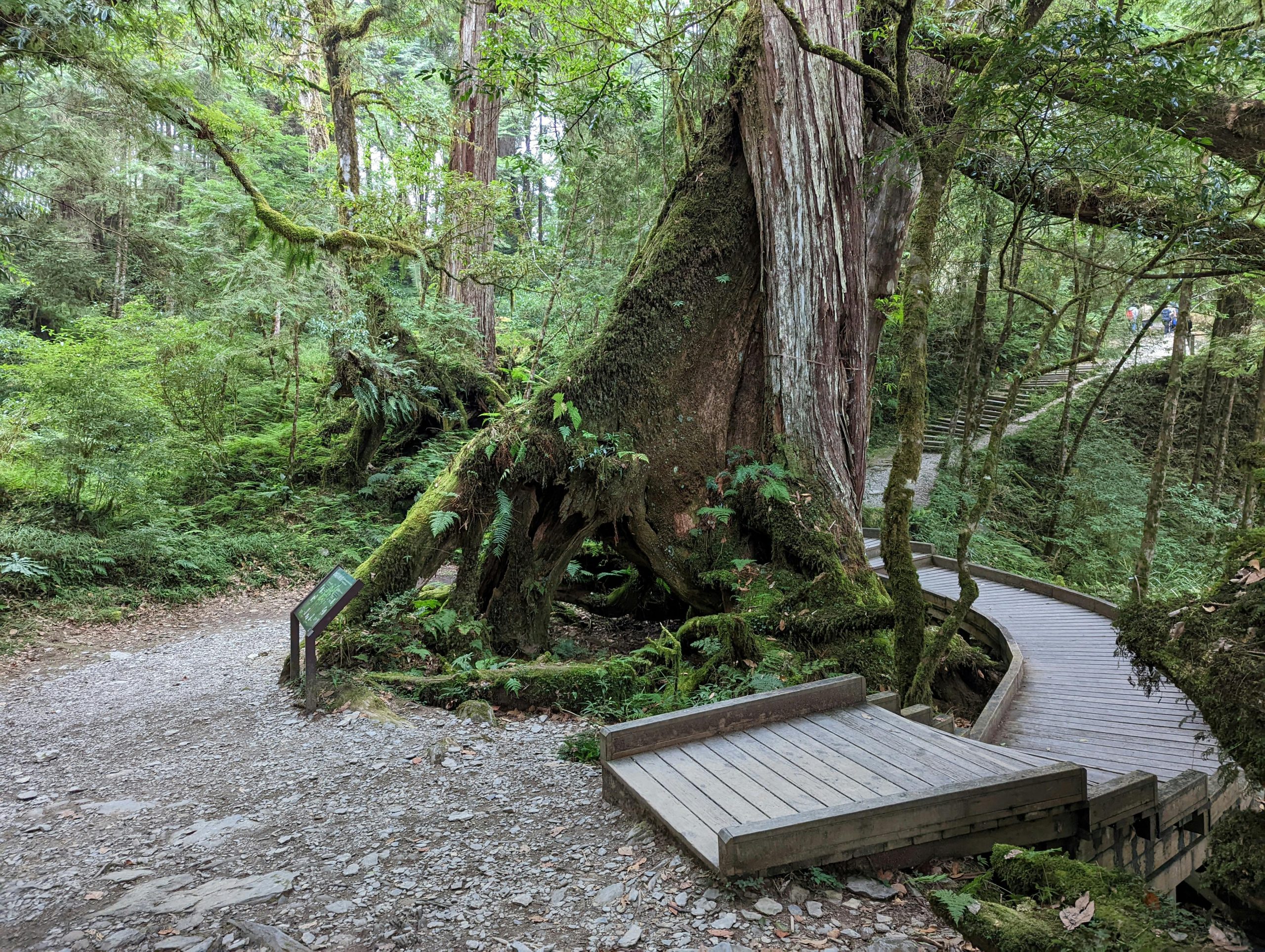 pexels photo 35684864