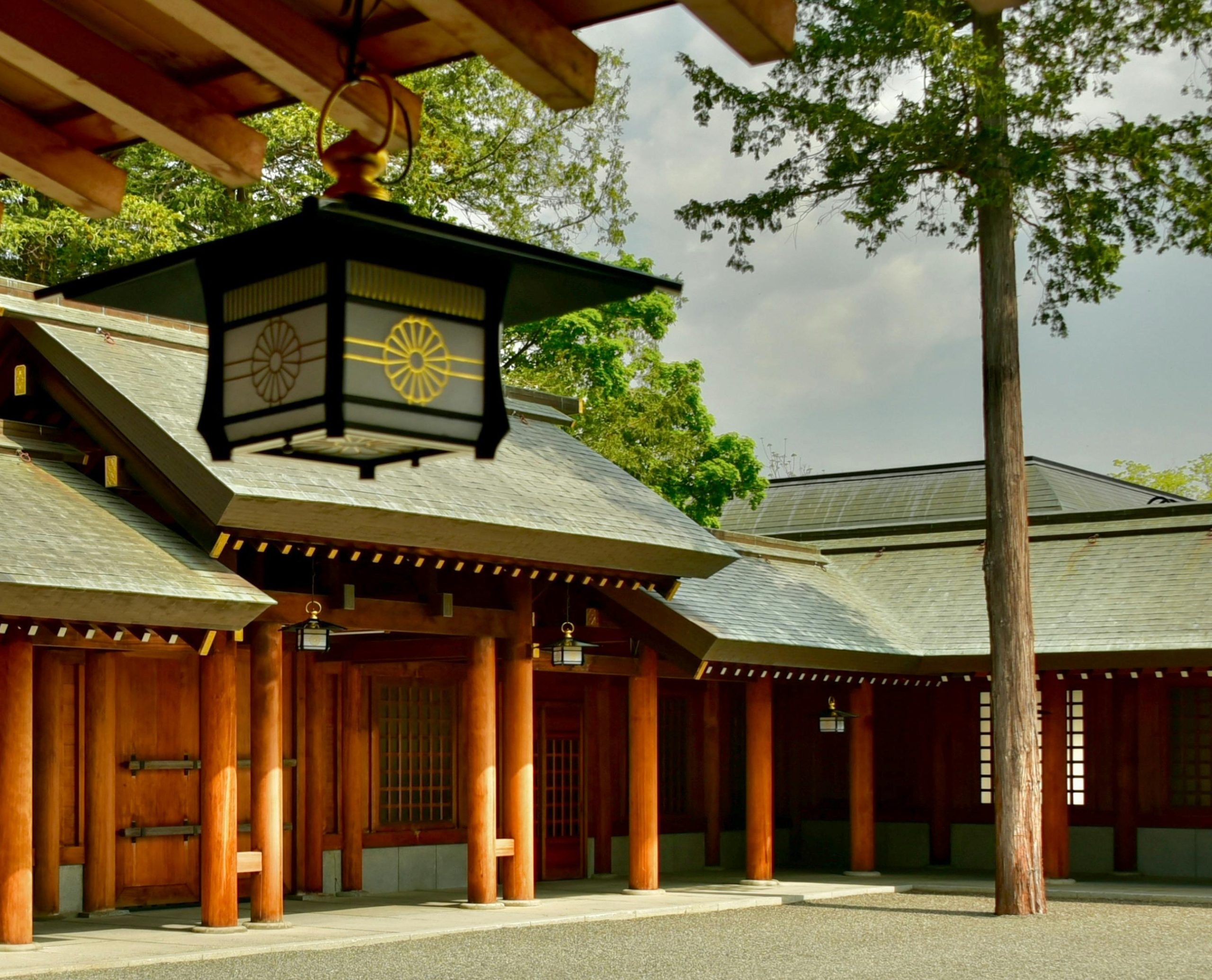 pexels photo 35710251