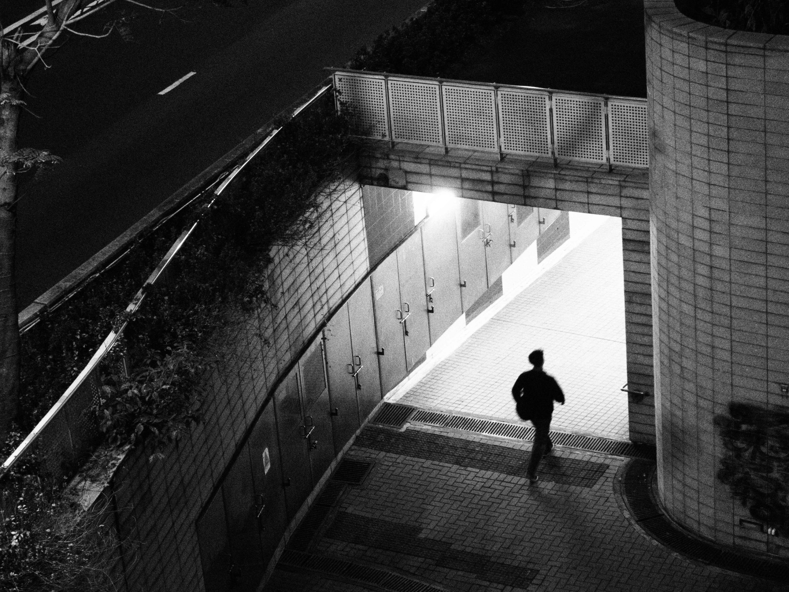 pexels photo 36010836