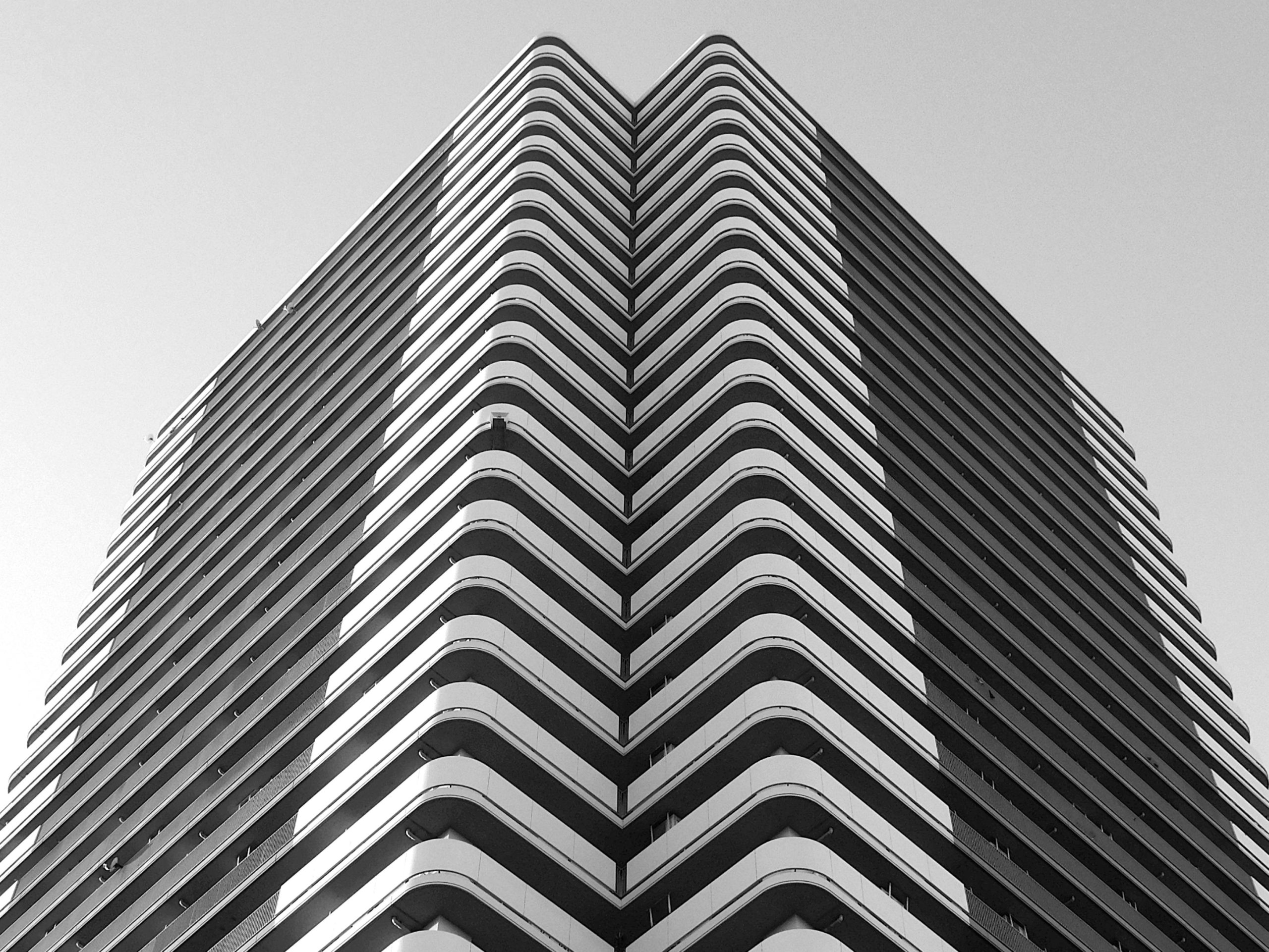 pexels photo 7095765