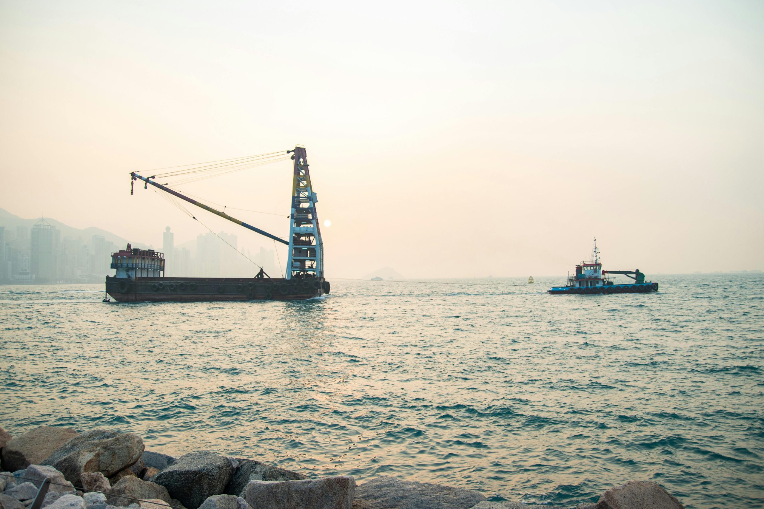 pexels photo 10712106