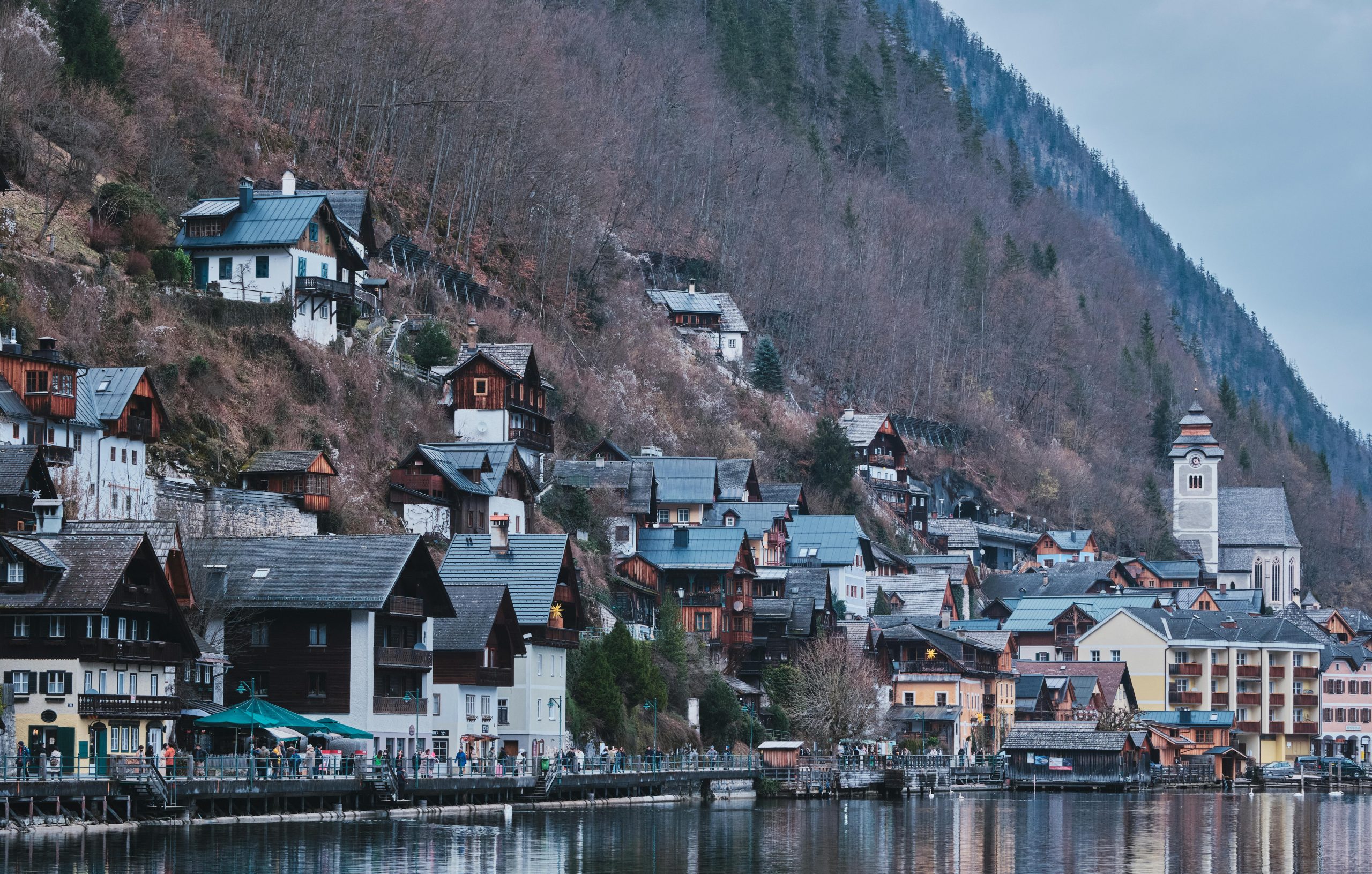 pexels photo 20694333