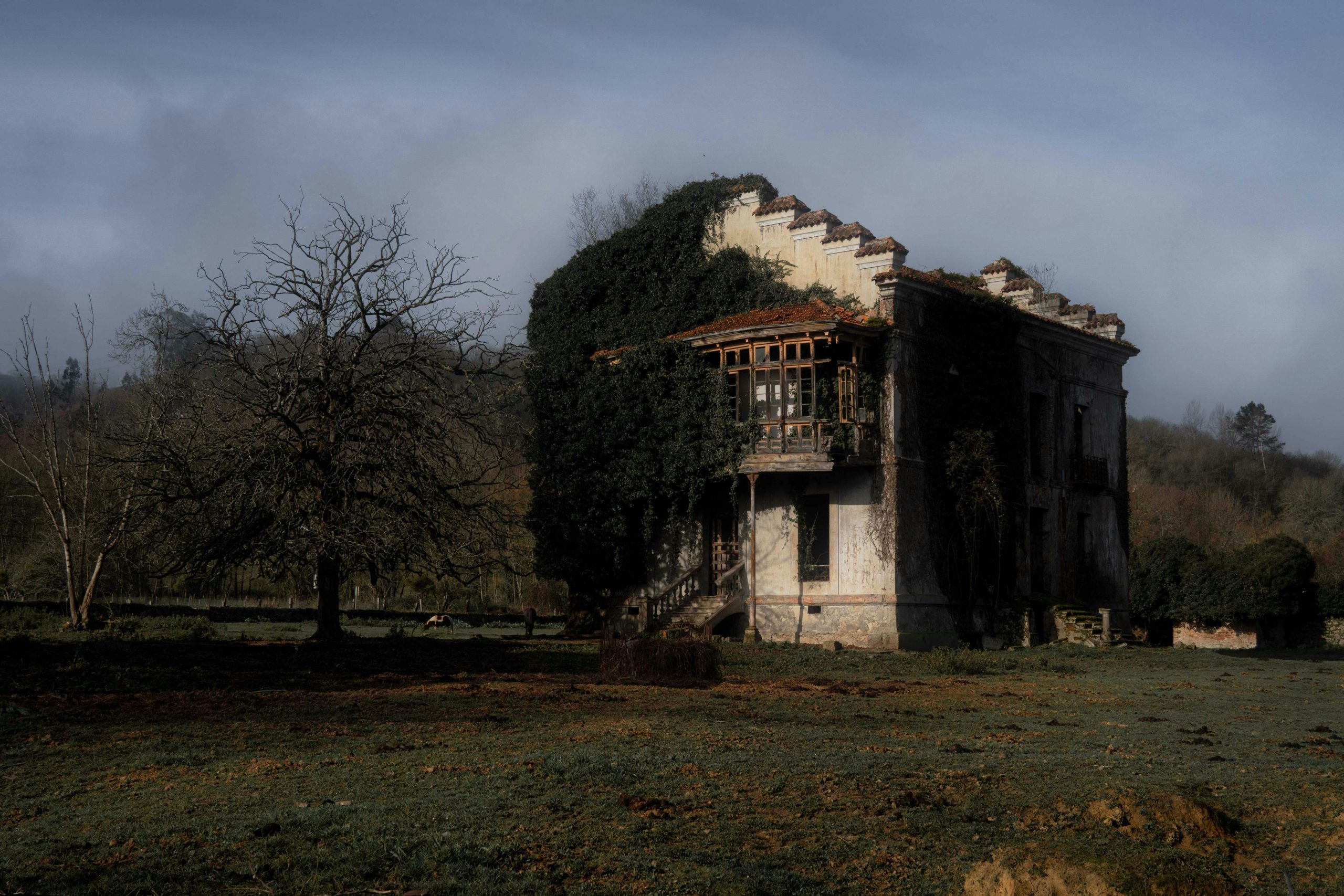 pexels photo 21287774