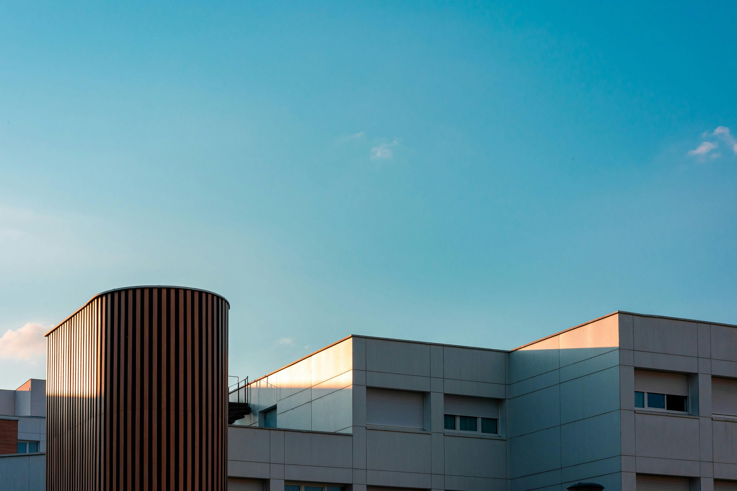 pexels photo 27153419