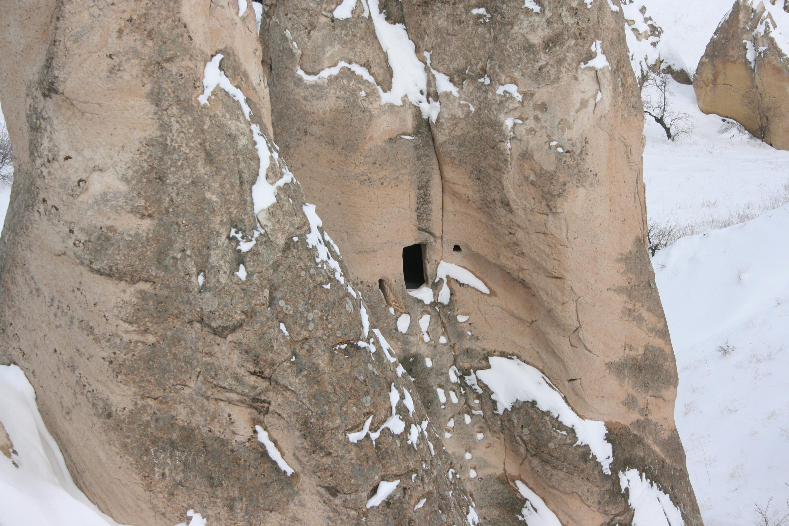 pexels photo 30699185