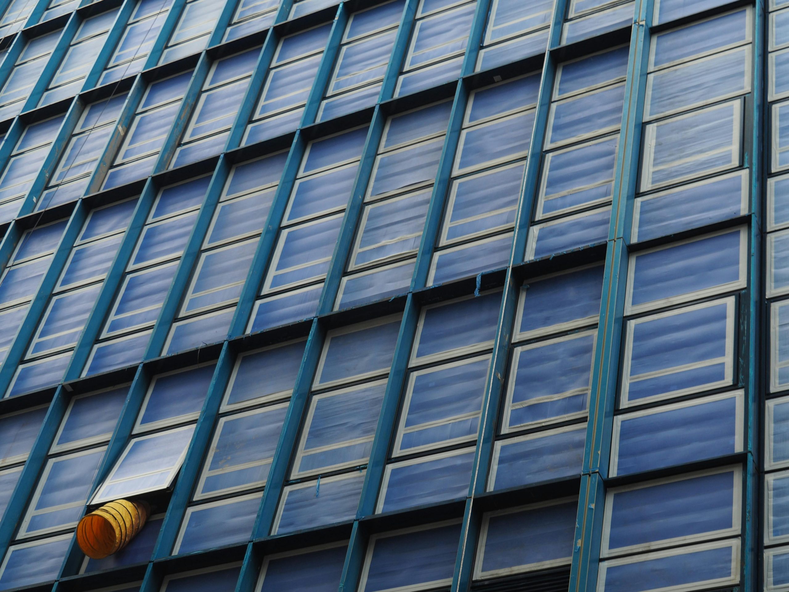 pexels photo 31585835