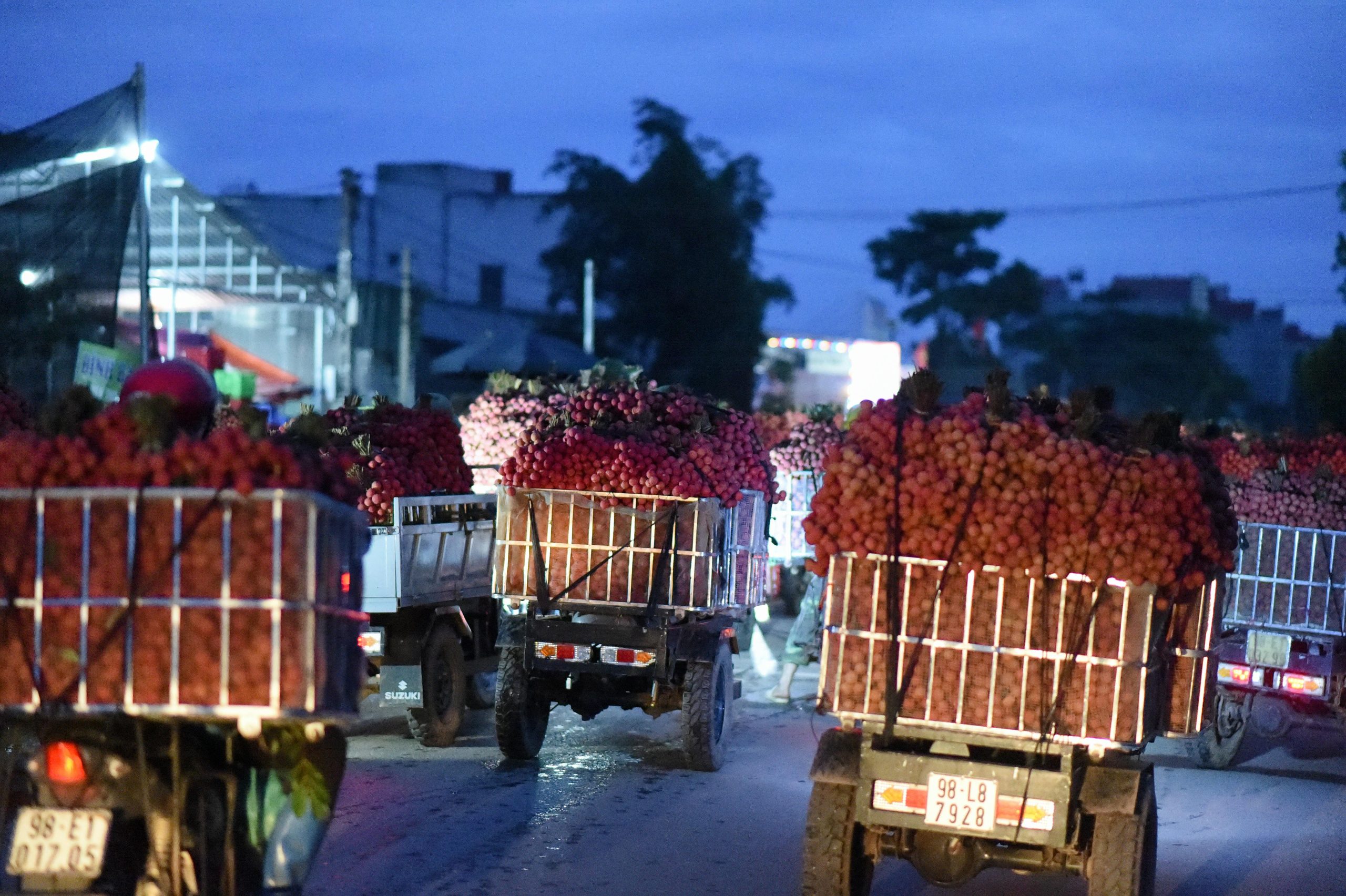 pexels photo 32834069