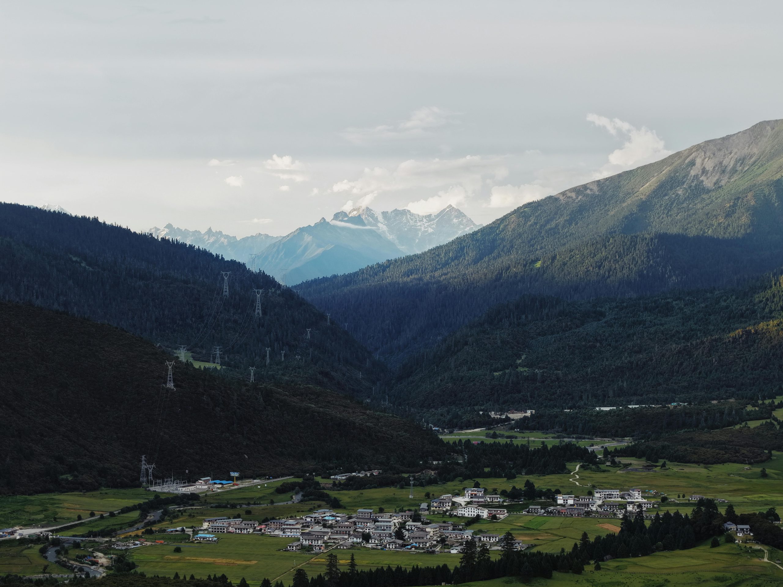 pexels photo 33148687